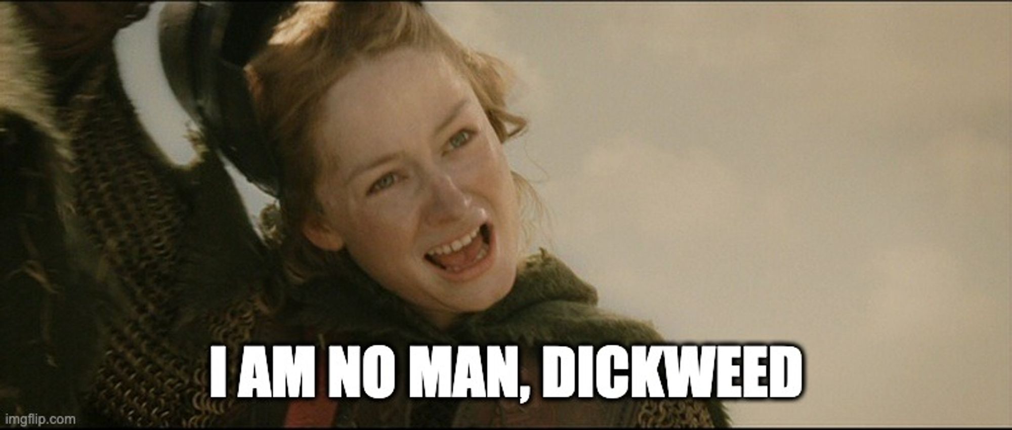 Eowyn from Return of the King, revealing herself and saying, "I am no man, dickweed"