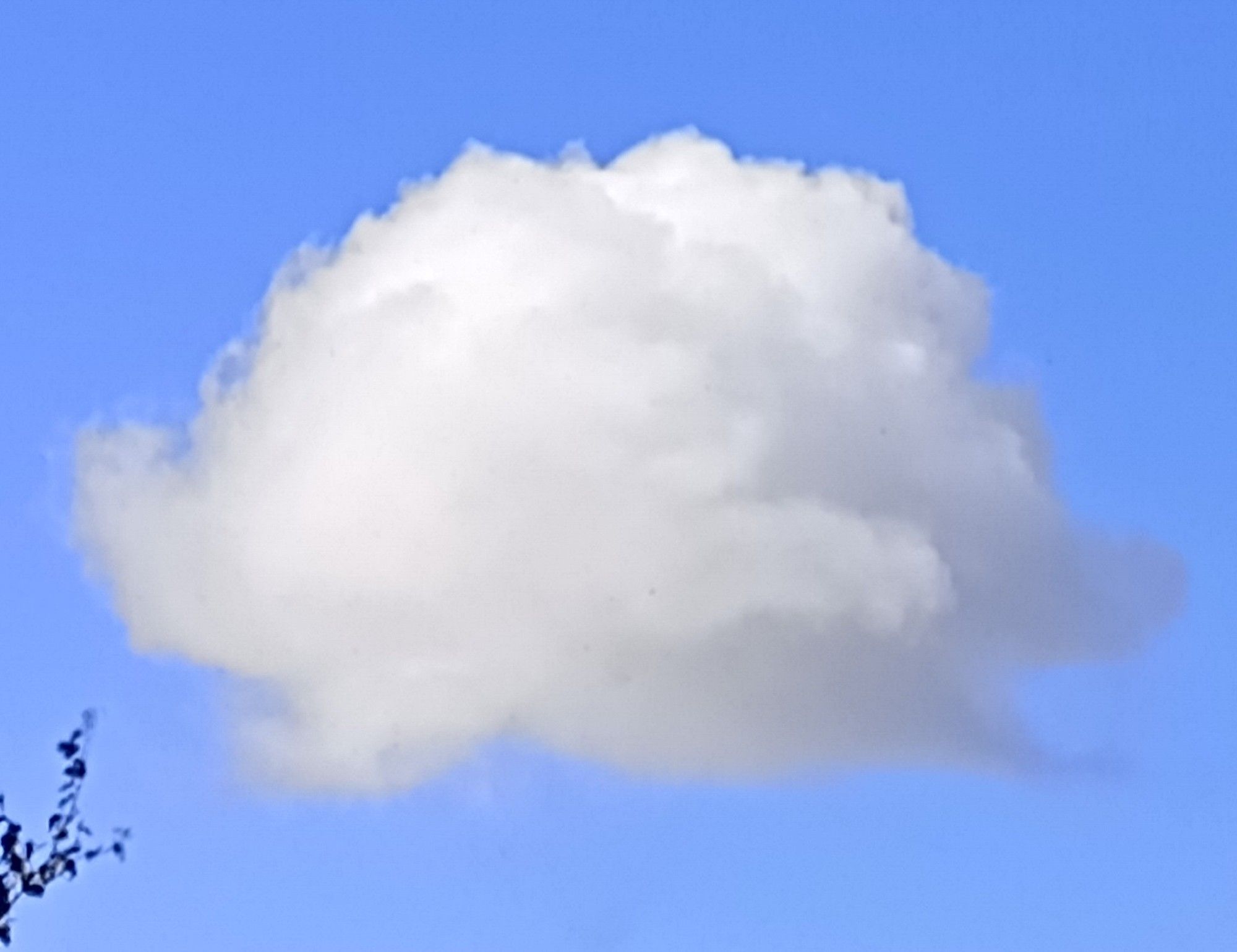 A Cloud that Very Round And Fluffy on a Blue Sky