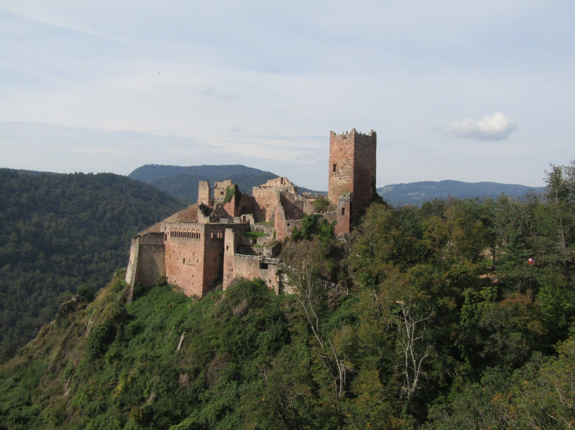 Chateau ruins, Ribeauville. Lots of Woodpeckers calling along the walk up to here from the village but very hard to see in the dense canopy.