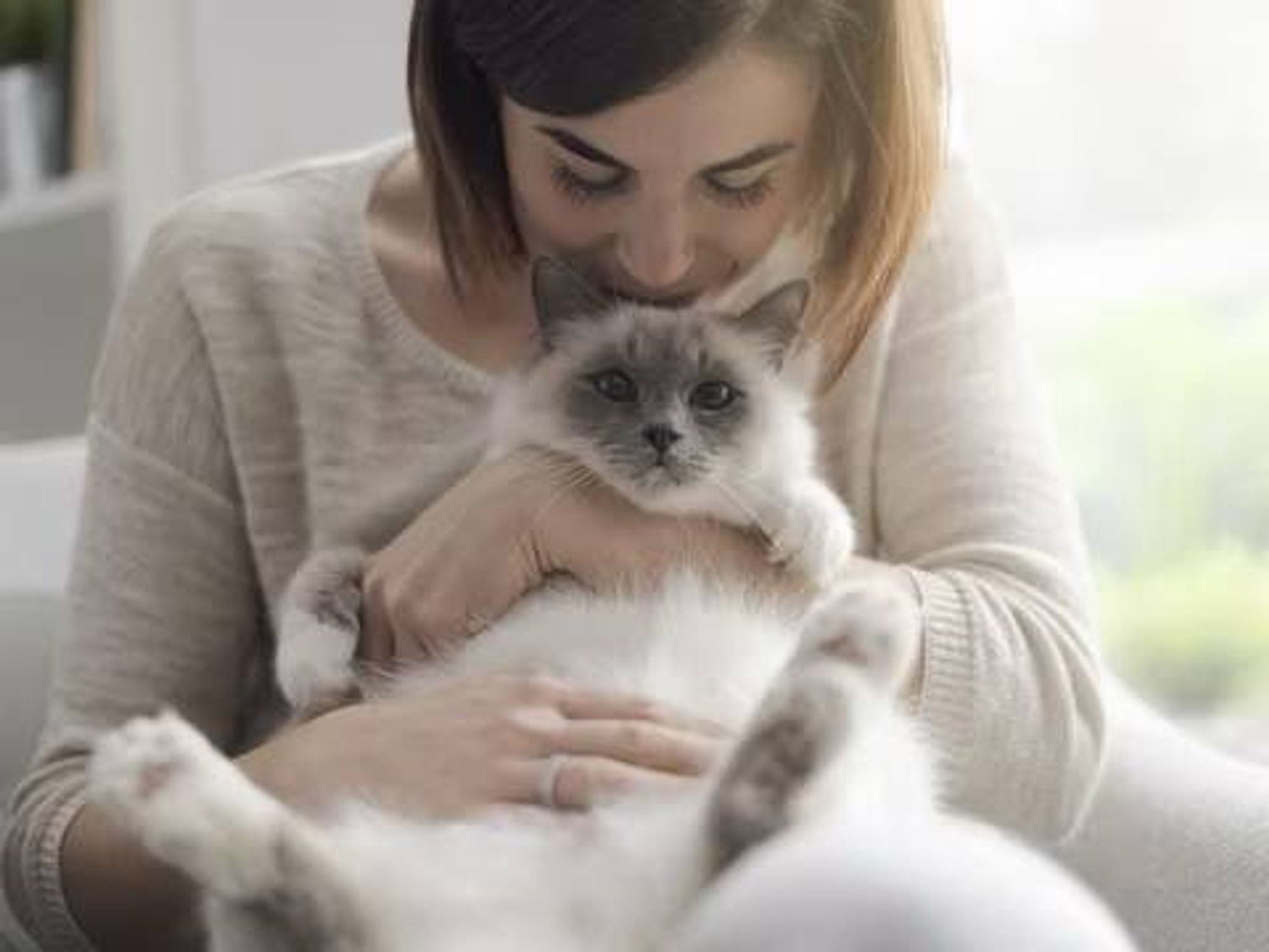 Das Foto zeigt eine Frau welche eine Katze auf dem Arm hält und diese auf den Kopf küsst