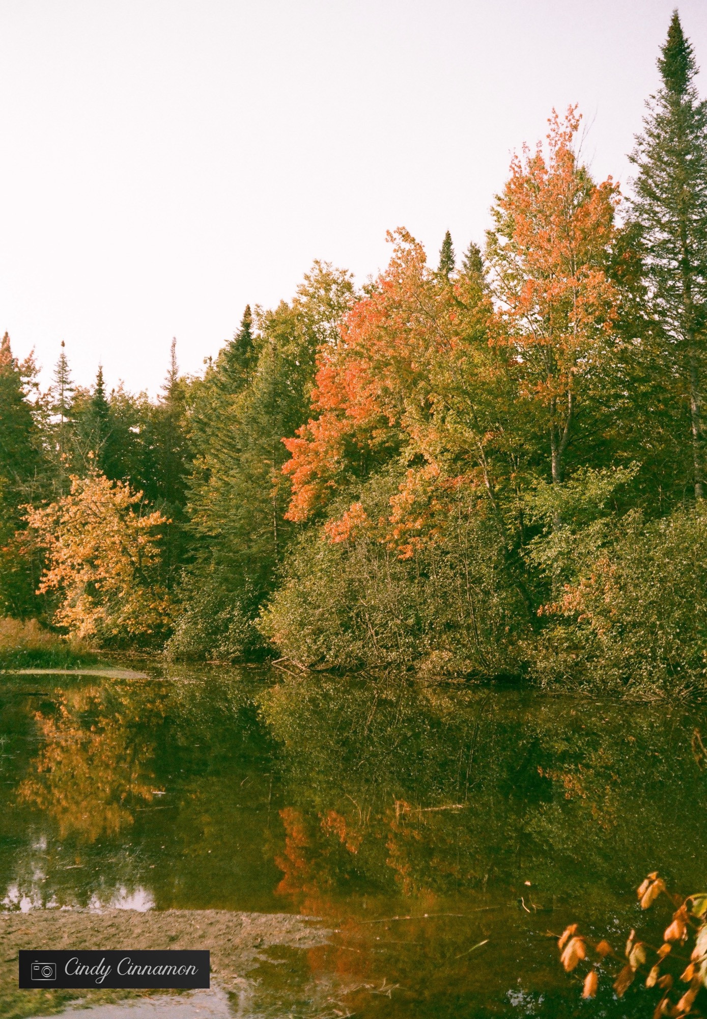 Lac en automne. Photographie par Cindy Cinnamon  