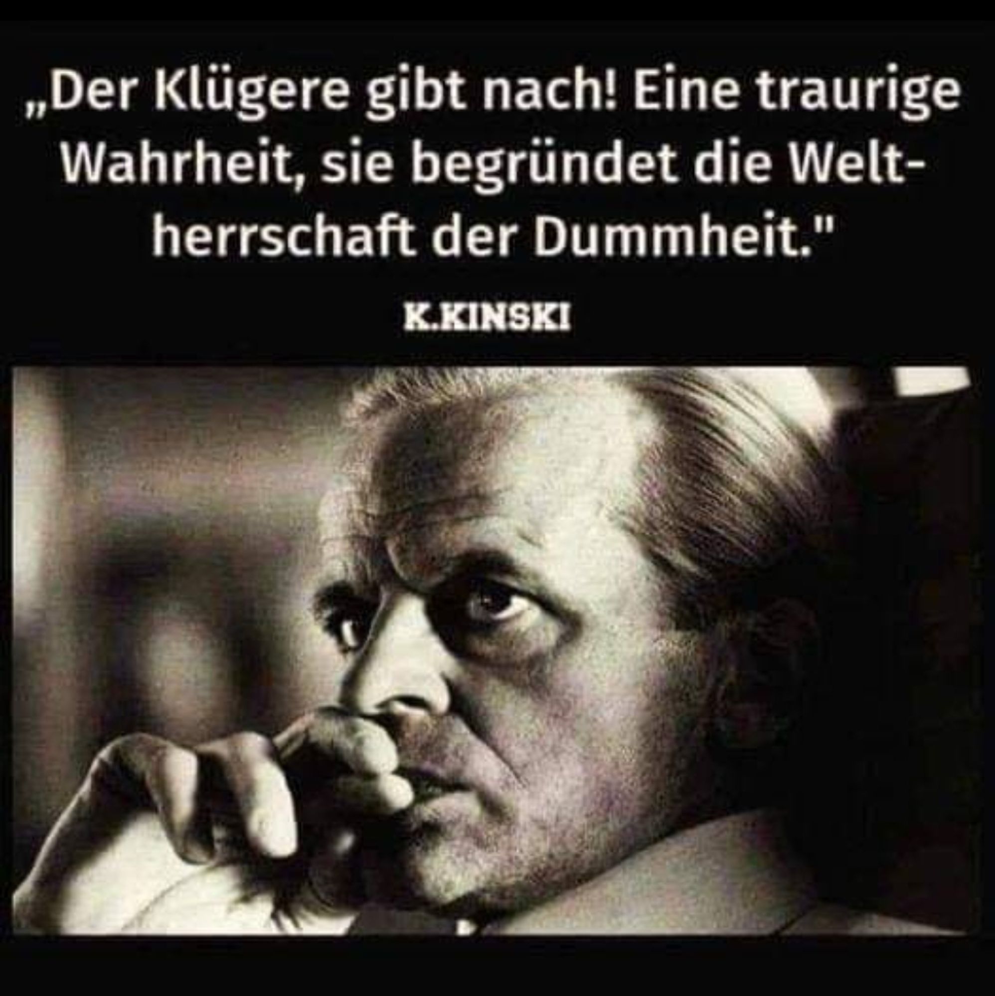 "Der Klügere gibt nach! Eine traurige Wahrheit, die begründet die Weltherrschaft der Dummheit."