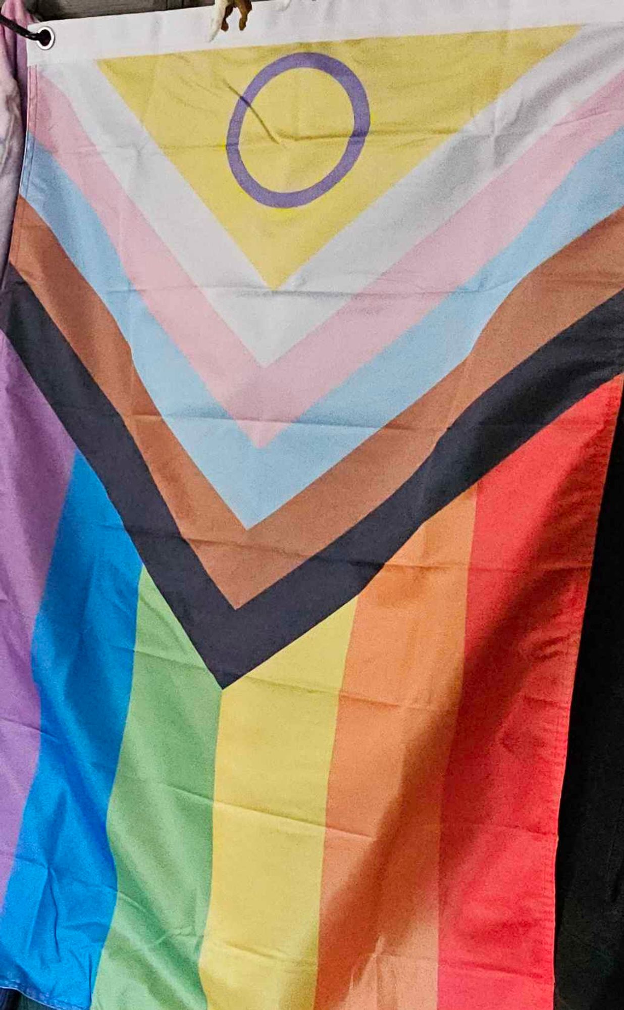 A picture of the progress pride flag hanging down.