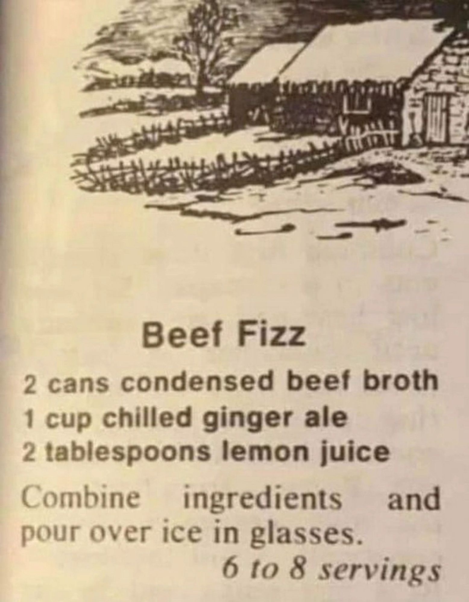 A recipe for “beef fizz” on old-timey paper:

2 cans condensed beef broth, 1 cup chilled ginger ale, 2 tablespoons lemon juice. Combine ingredients and pour over ice in glasses, 6 to 8 servings