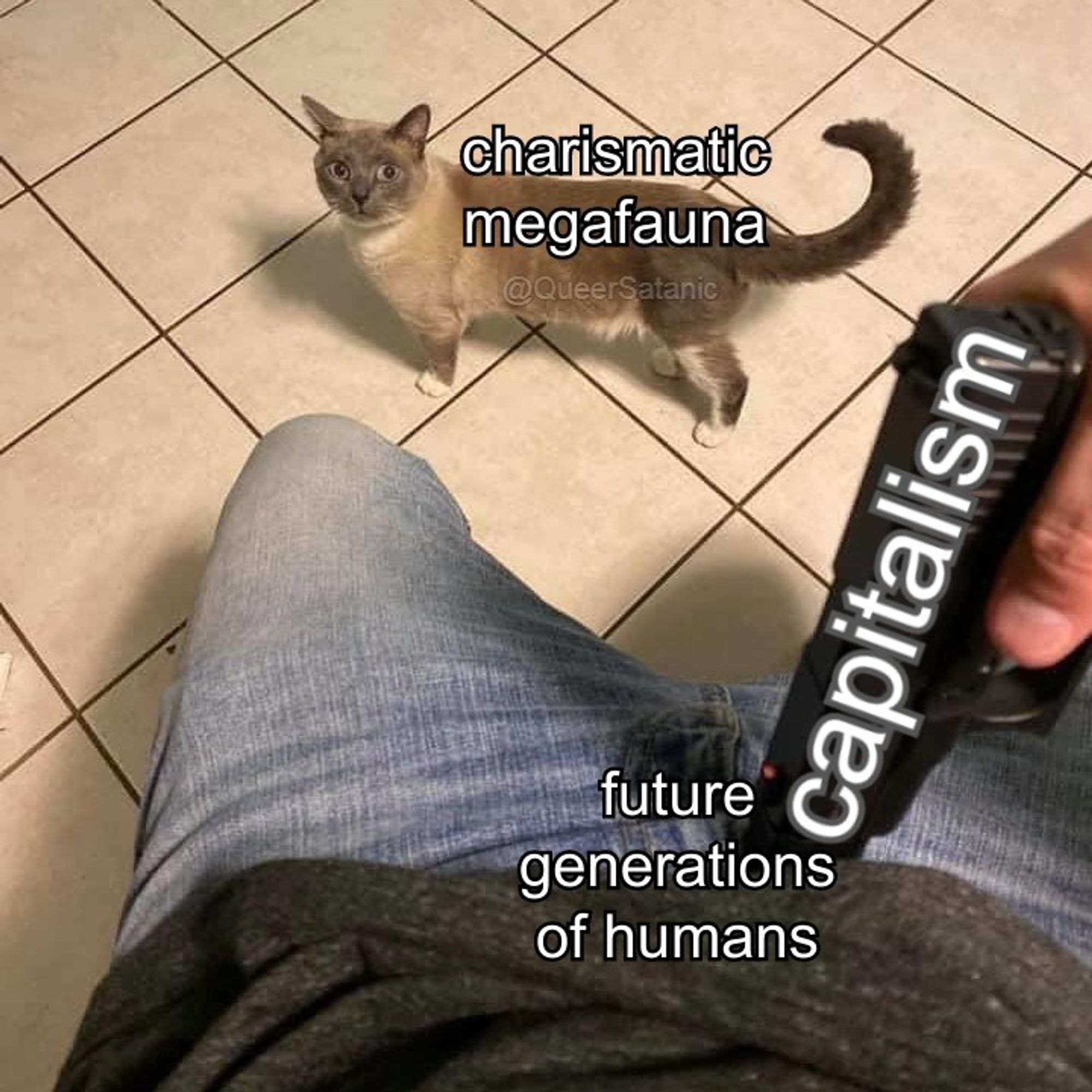 man pointing a gun labeled "capitalism" at his crotch labeled "future generations of humans" while a cat labeled "charismatic megafauna" look on with an expression of concern