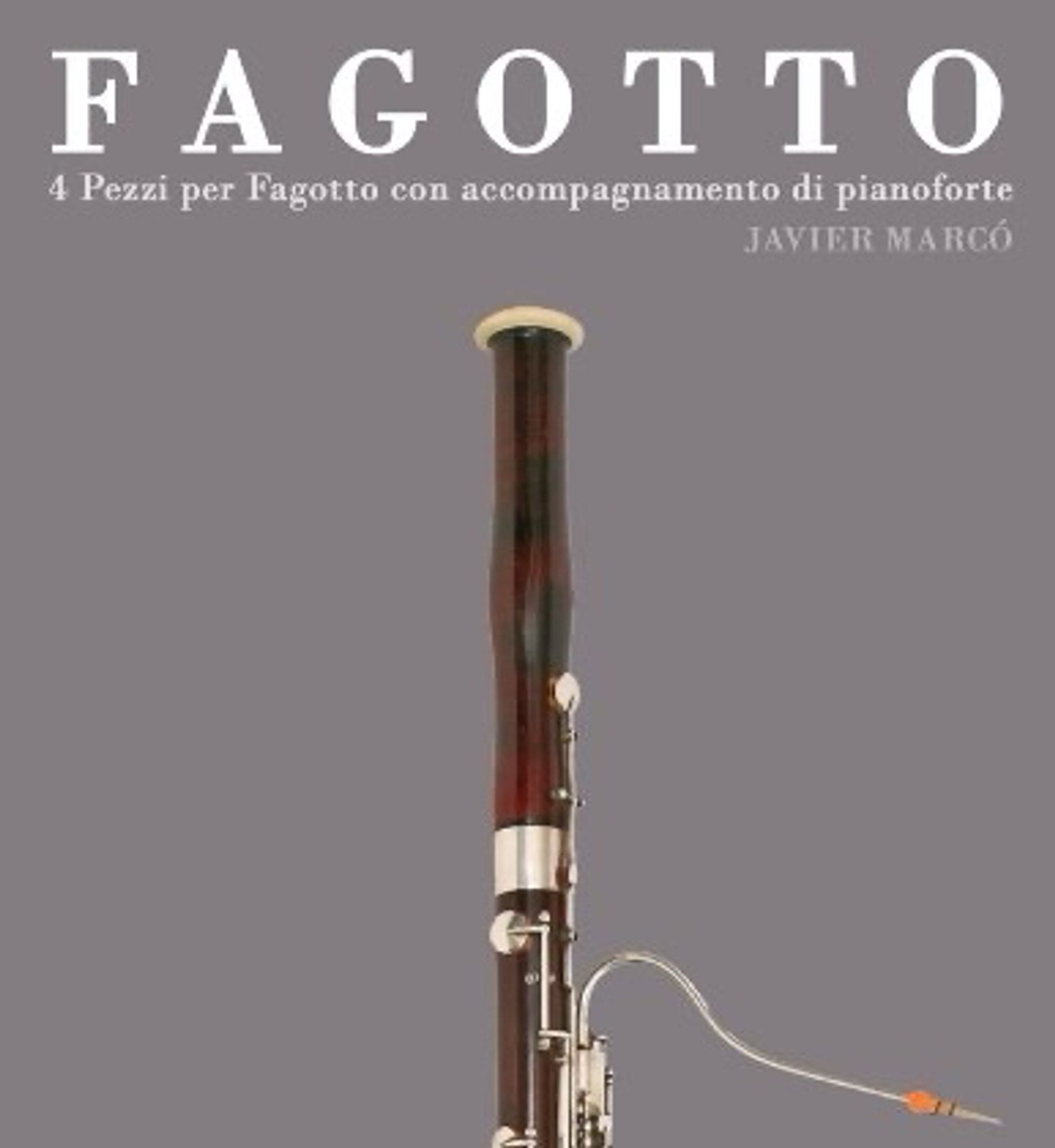 A picture of a bassoon with the Italian name for it (“fagottto”) written on top