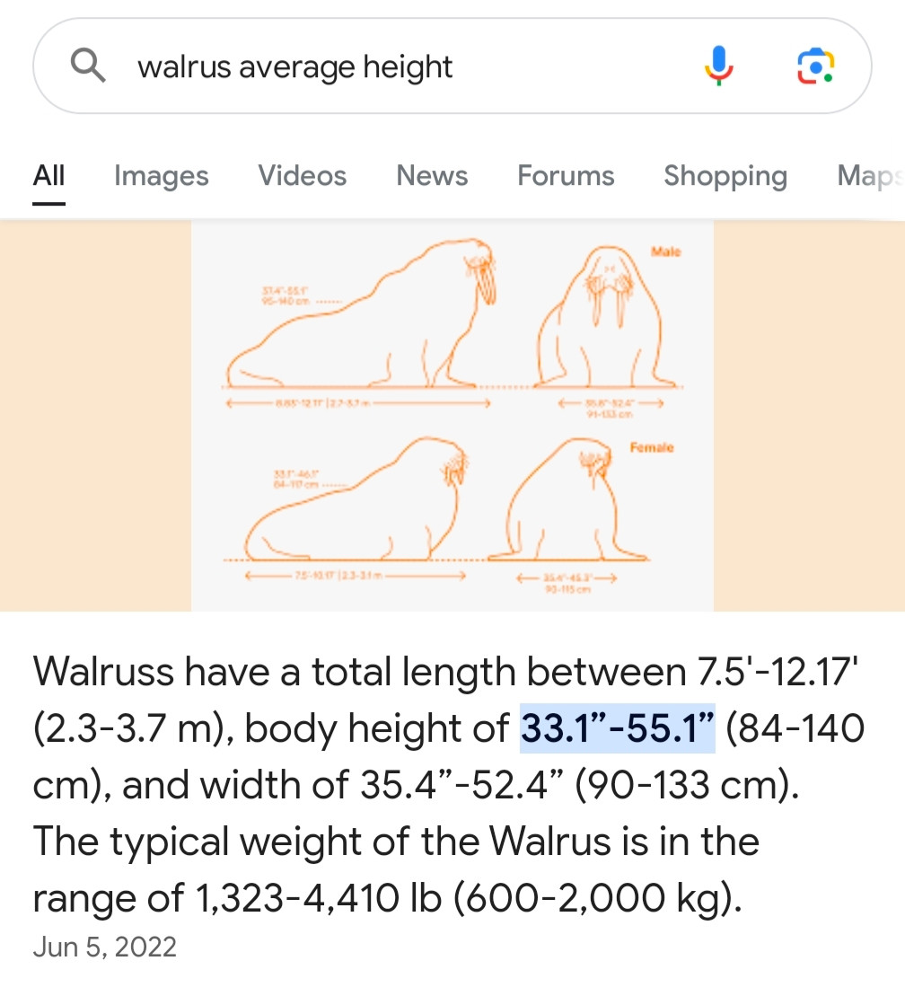 Walruss have a total length between 7.5-12.17" (2.3-3.7 m)., body height of 33.1"-55.1" (84-140 cm), and width of 35.4"-52.4" (90-133 cm). The typical weight of the Walrus is in the range of 1,323-4,410 Ib (600-2,000 kg). Jun 5, 2022