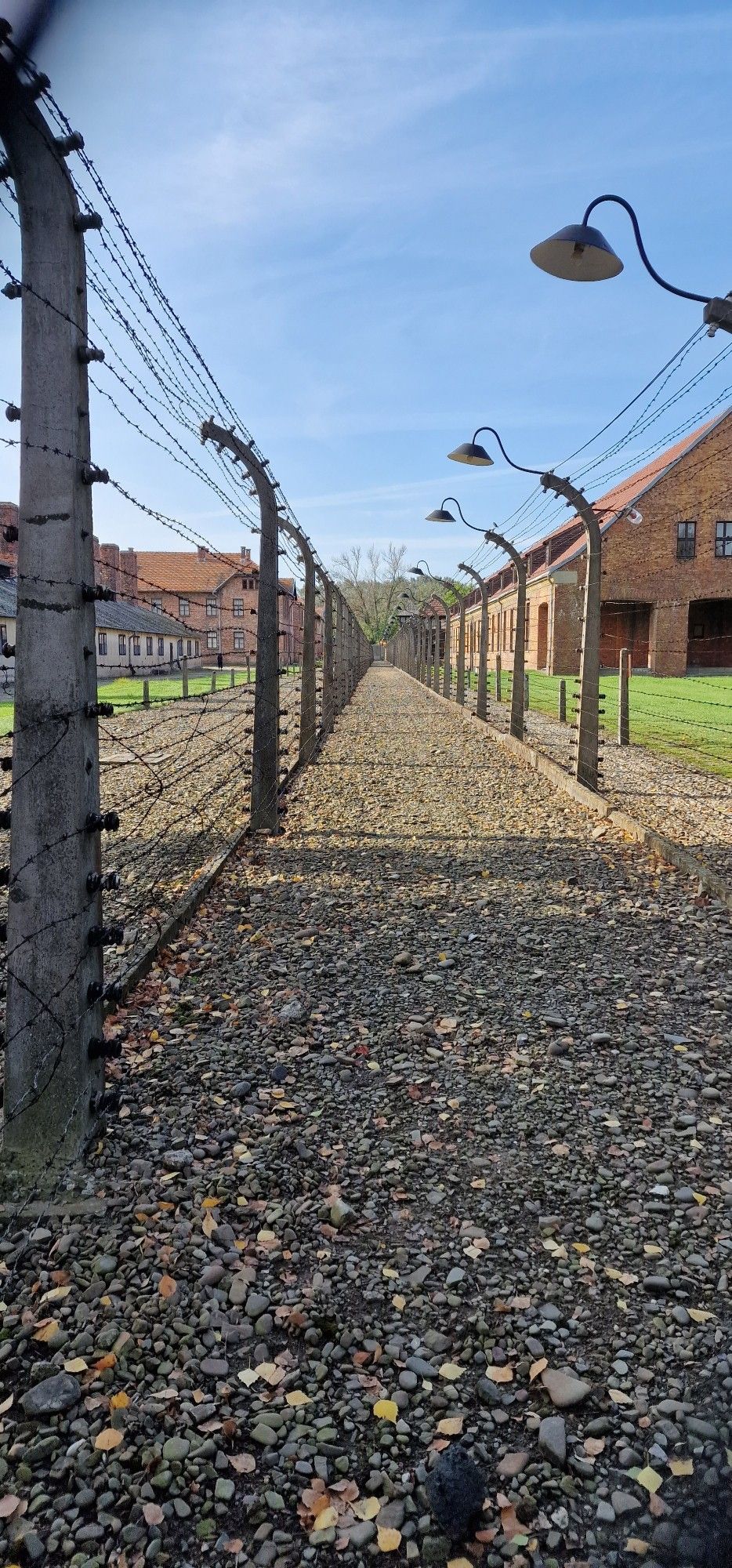 Links eine Reihe Stacheldrahtabsperrung, in der Mitte der geschotterte Postenweg, rechts ebenfalls  Stacheldrahtzaun dahinter jeweils Baracken, Auschwitz