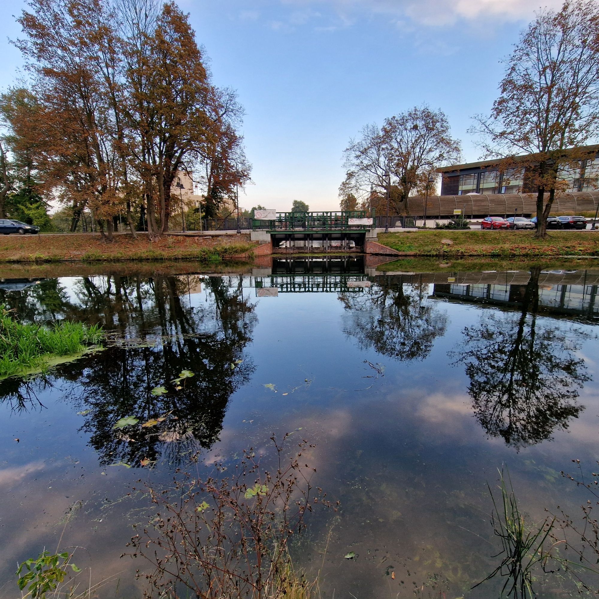 Baumschulen in der Brahe im Abendlicht, alles an der Mühleninsel