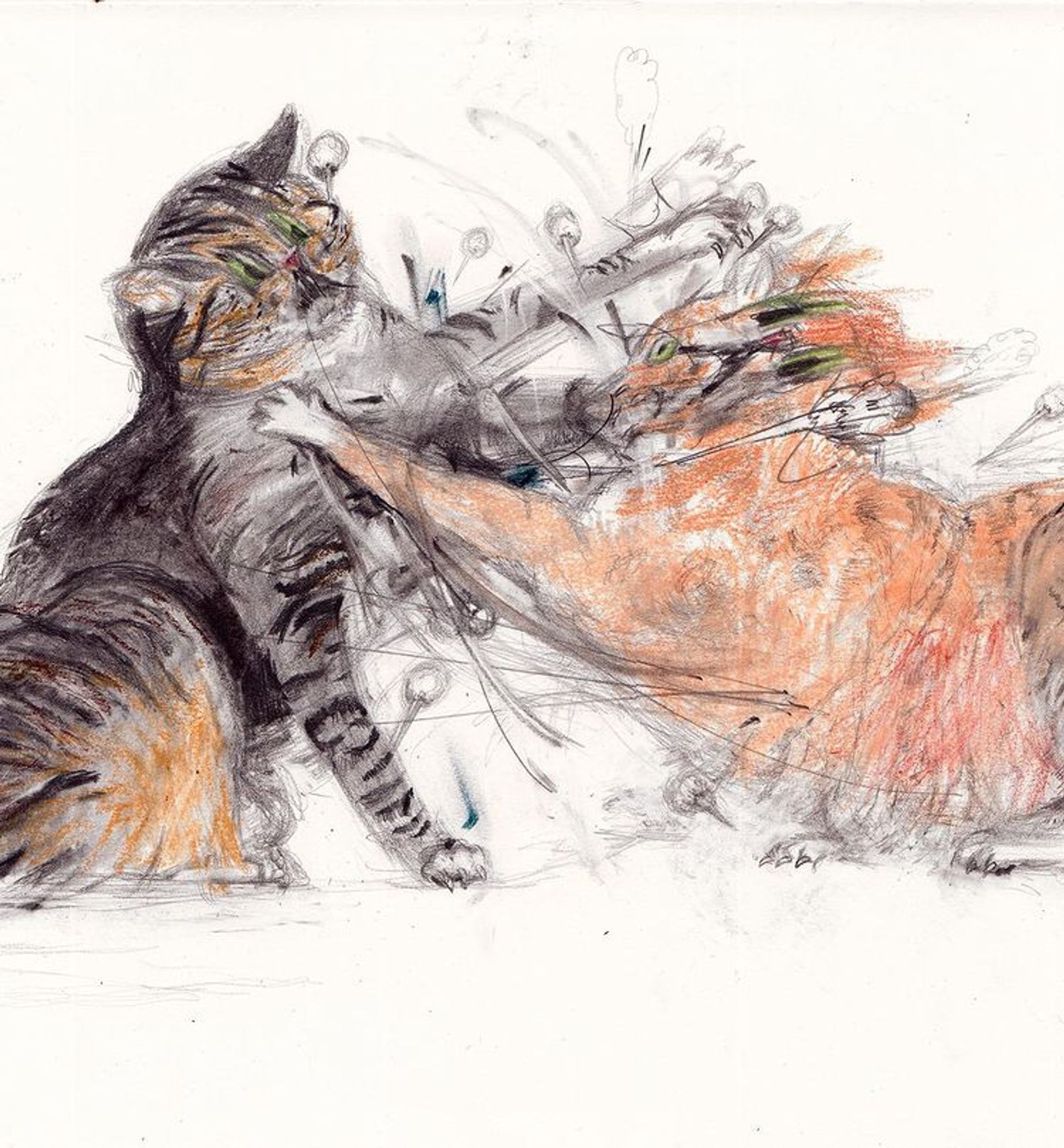 two cats involved in a BAP-BAP-BAP contest. Nothing but a blur of tabby stripes and orange.