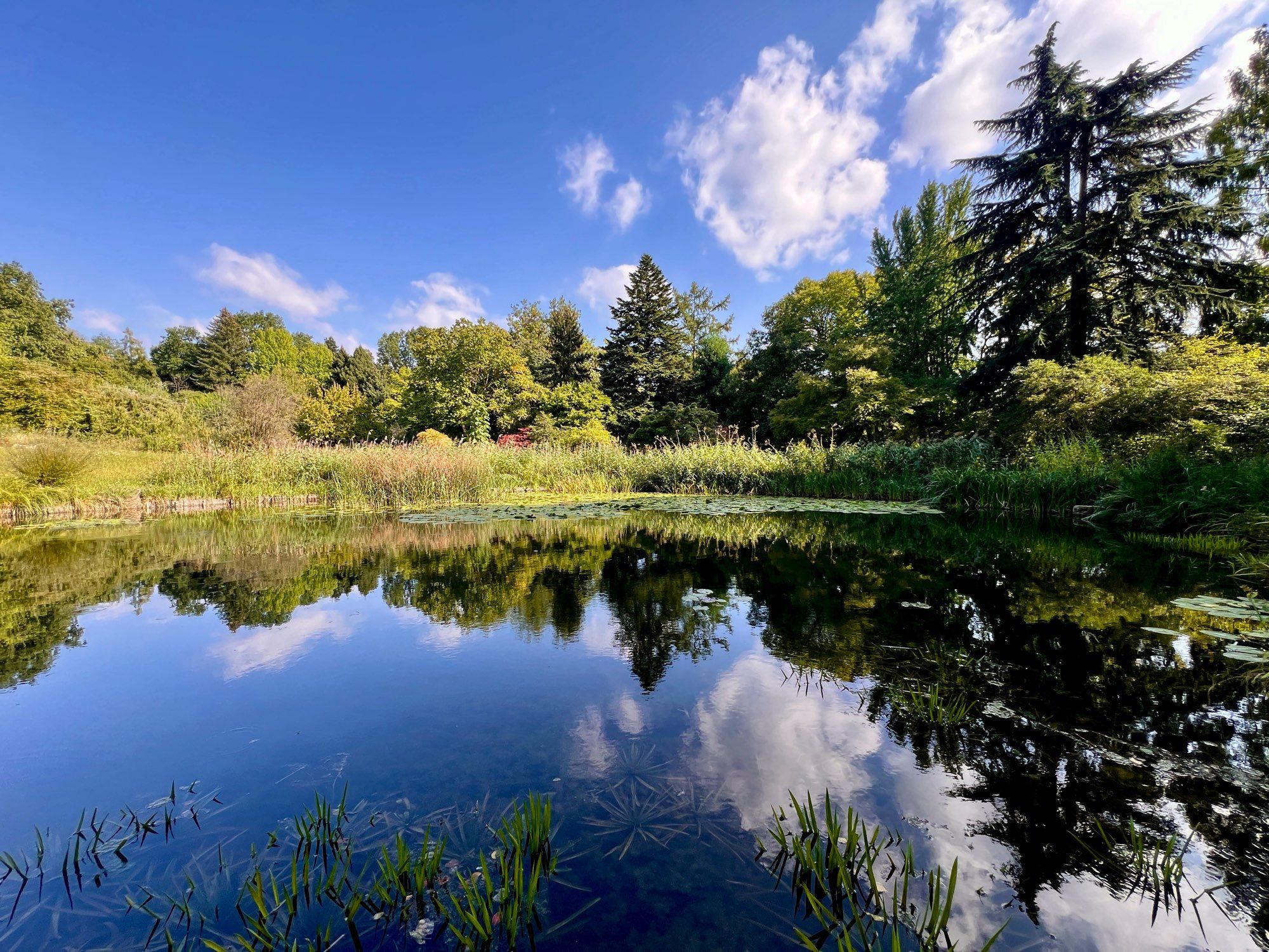 Blick über den See im Botanischen Garten