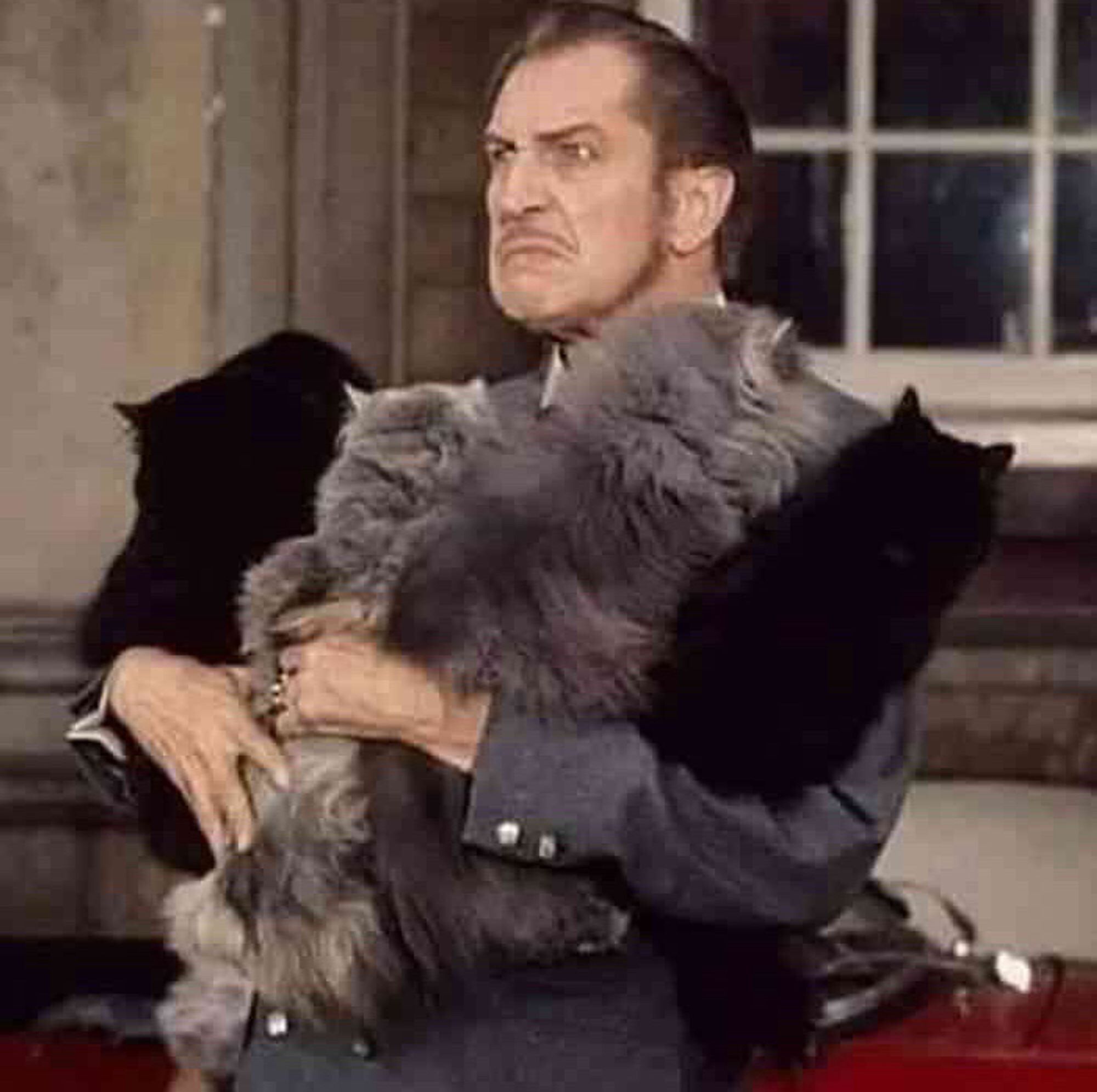 A sneering Vincent Price holding a bunch of chonky cats.