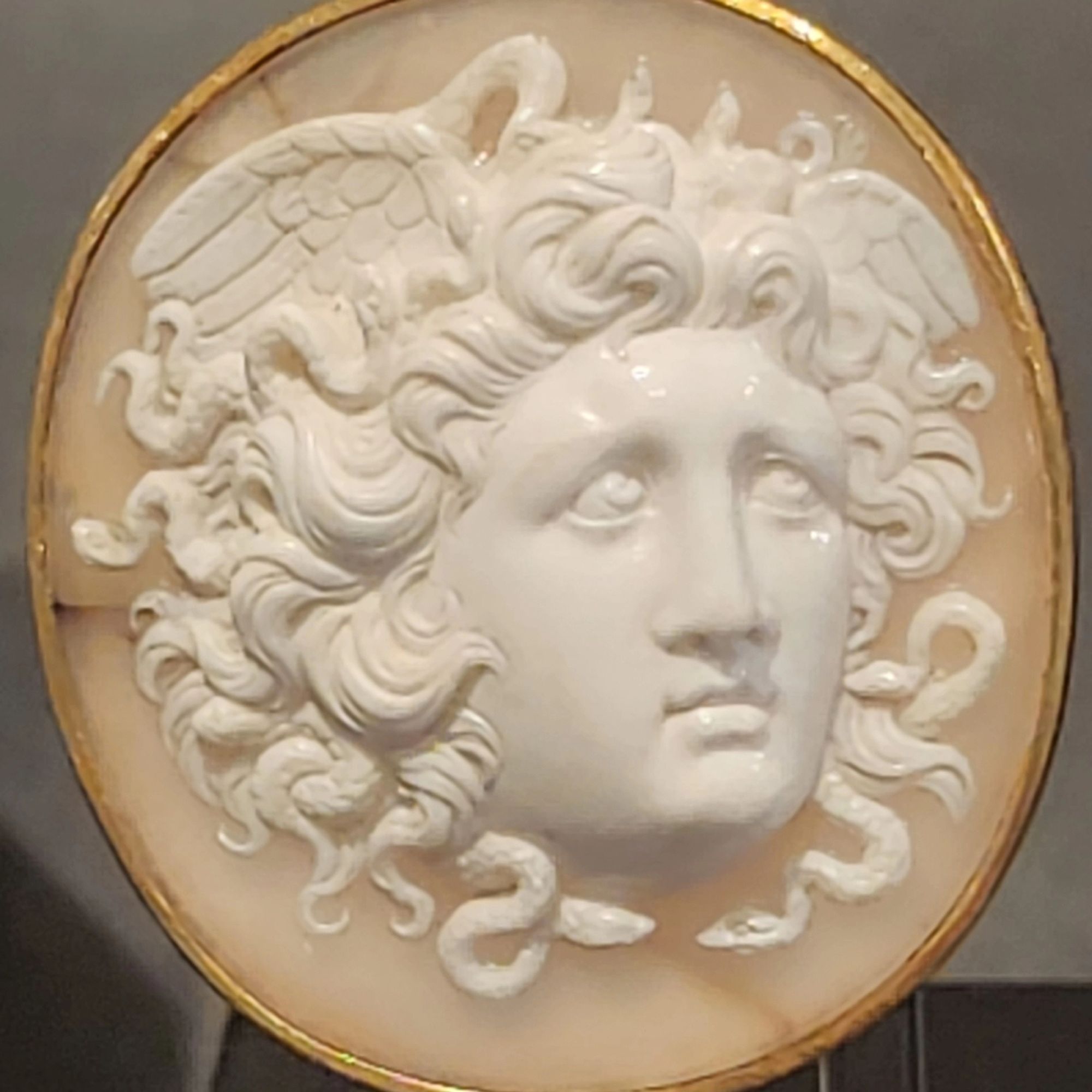 Cameo of Sardonyx with the head of Medusa with wings and snakes