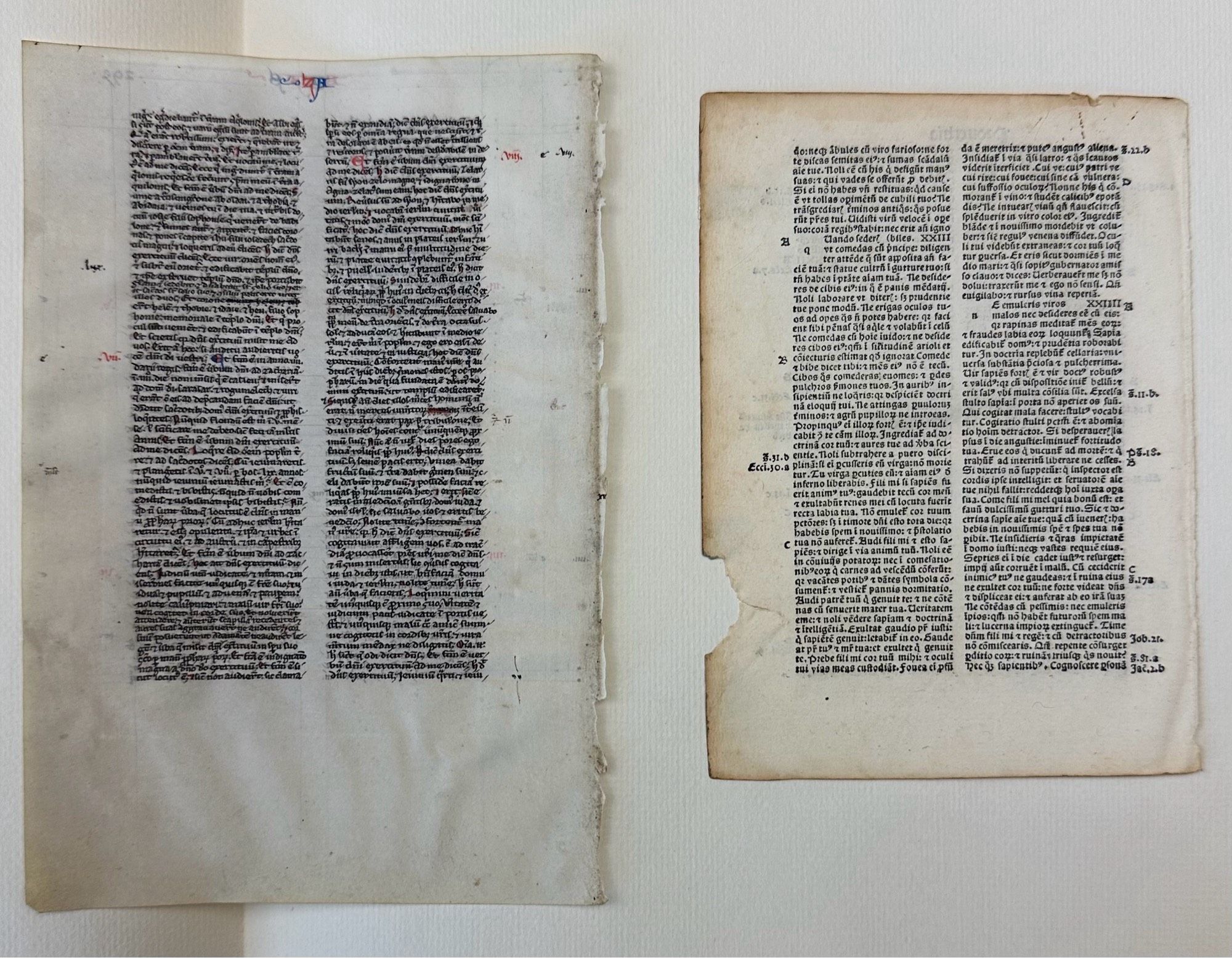 Two small Bible leaves, one printed and one in manuscript