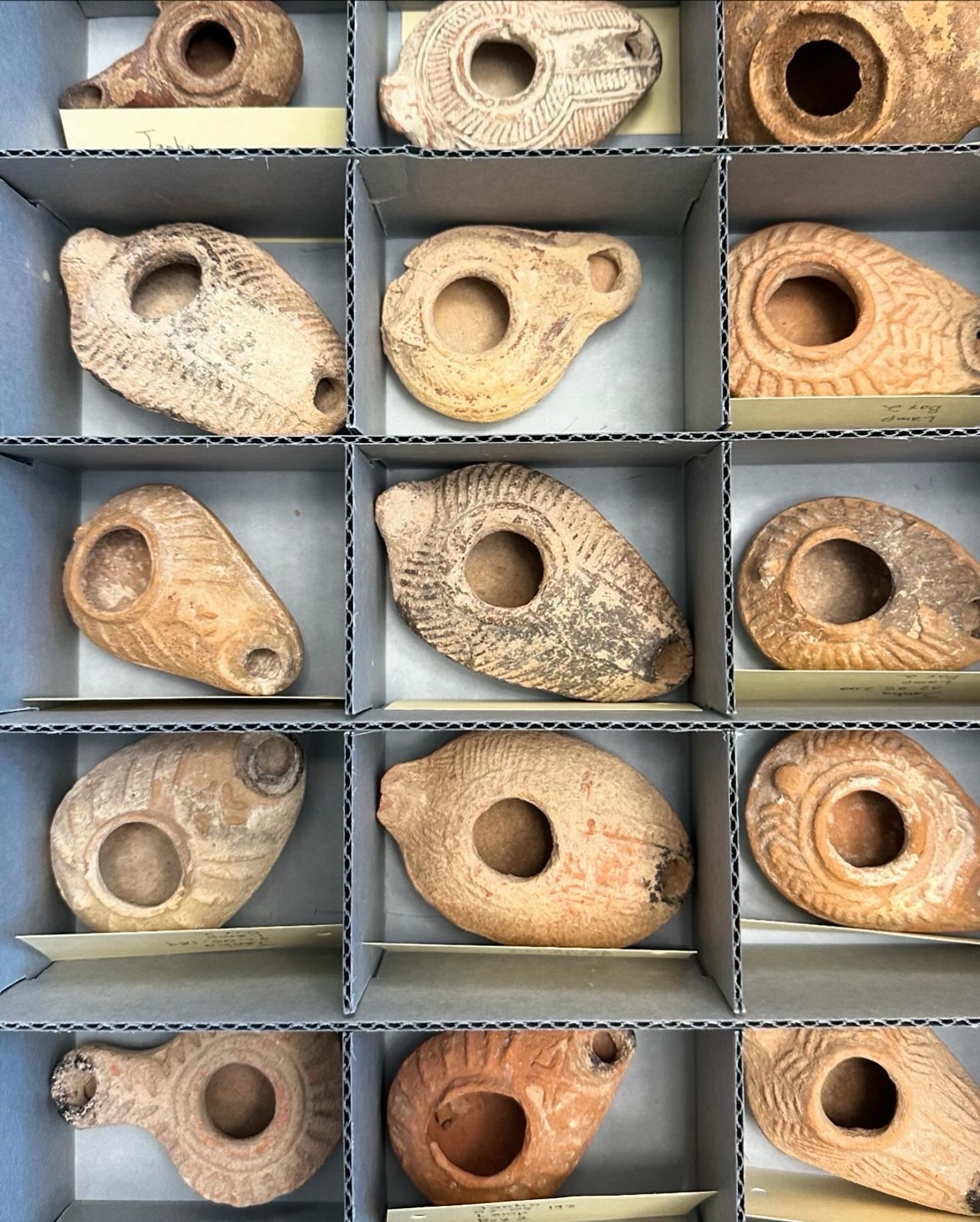 Cardboard specimen box with fifteen terra cotta Roman lamps inside