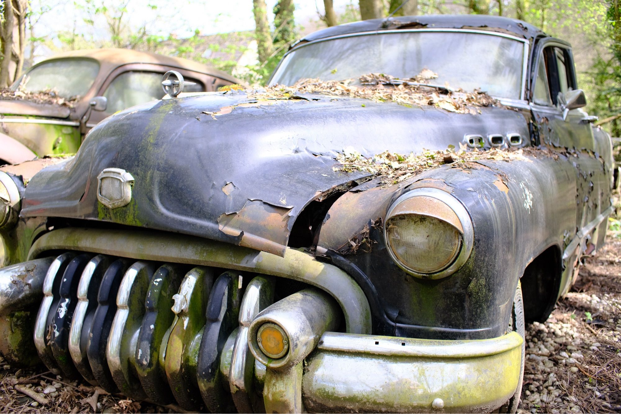 Classic Car rotten in a forrest in Germany.