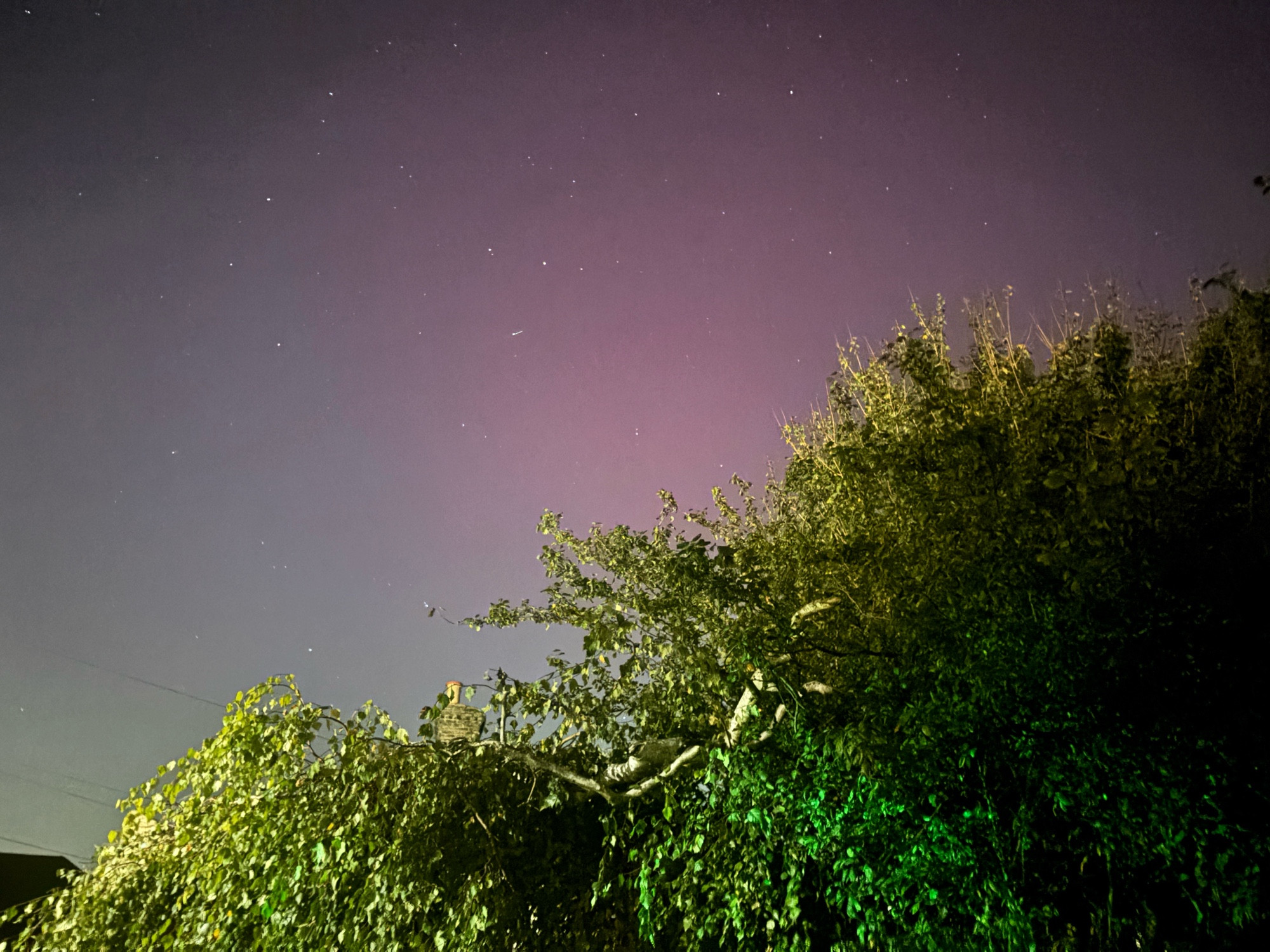 Green, blueish and pinkish tinge in the night sky, over my tree!