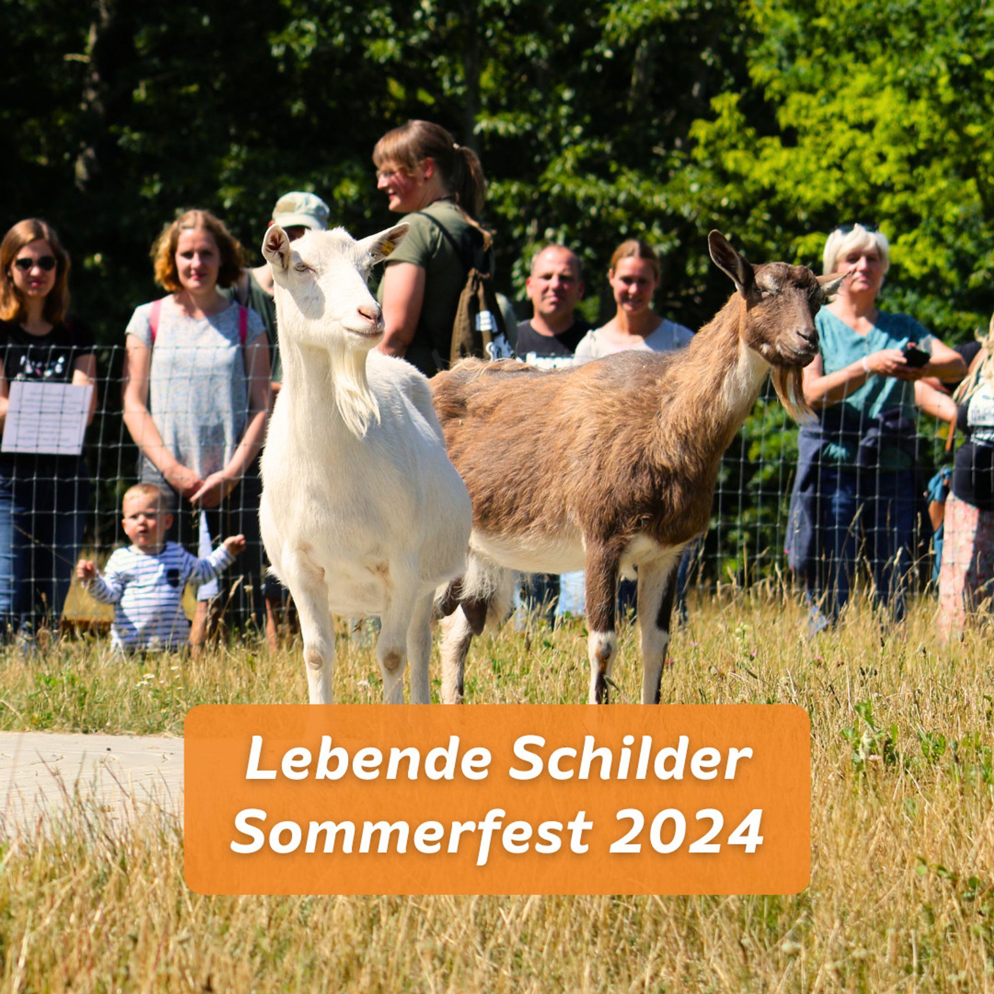 Die Ziegen Bärta und Lohreley im Land der Tiere. Im Hintergrund ist eine Gruppe von Menschen zu sehen. Dazu der Text „Lebende Schilder Sommerfest 2024“ vor orangem Hintergrund.