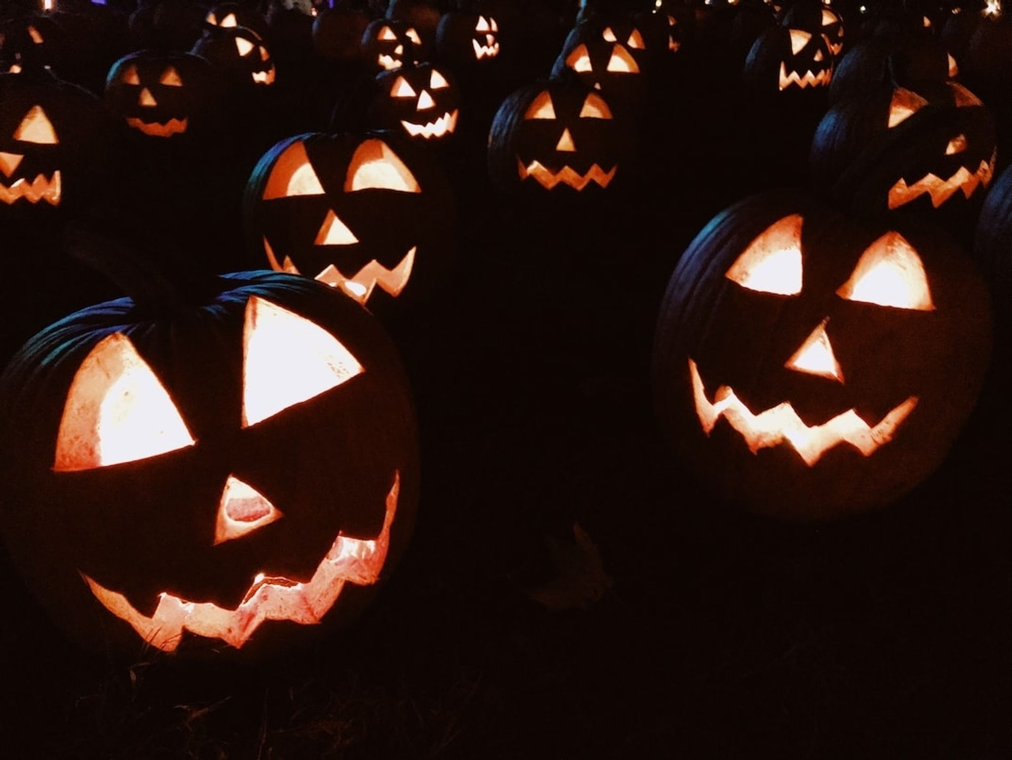 Jack-o'-lanterns encendidos en la oscuridad te miran.
Foto de Taylor Rooney, en Unsplash.
Url: https://unsplash.com/es/fotos/L86gqddPTQs