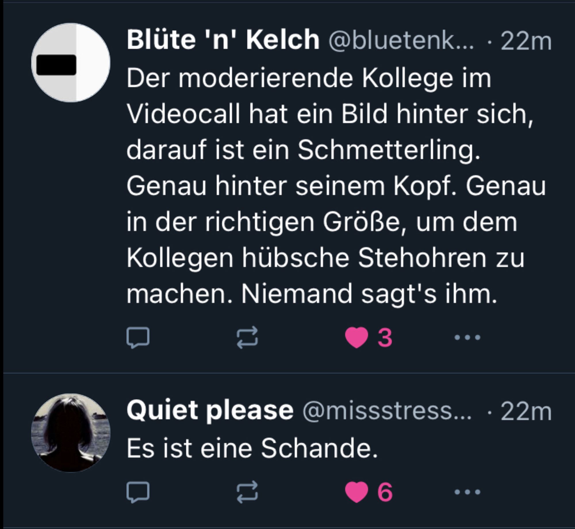 Screenshot von zwei Posts auf Bluesky, der erste von User Bluetenkelch sagt, dass ein Kollege im Videocall wegen dessen Hintergrundbild aussieht, als hätte er hübsche Stehohren und niemand sagt es ihm. Der nachfolgende Post von Userin MissStress, der sich auf etwas anderes bezieht, sagt aus: es ist eine Schande.