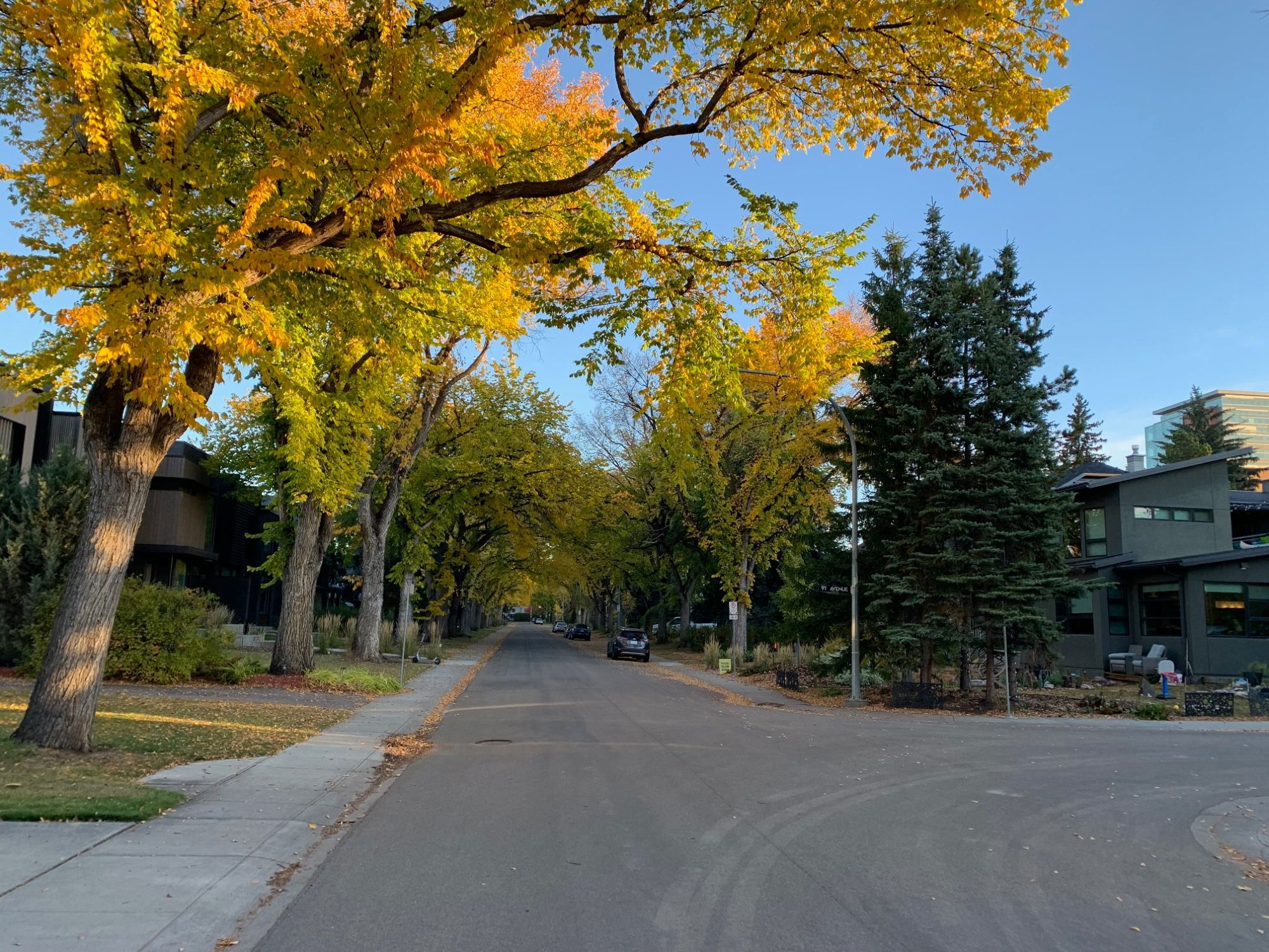 Street view in Windsor Park, October 2024.