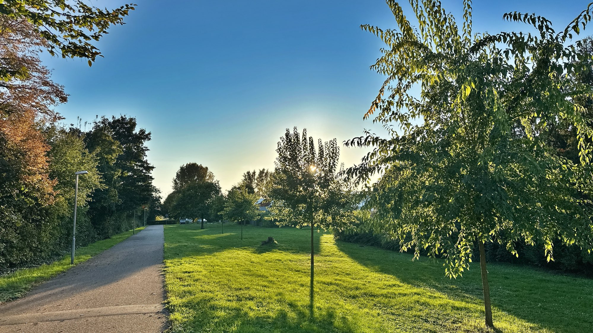 Weg mit Sonne und viel gruen