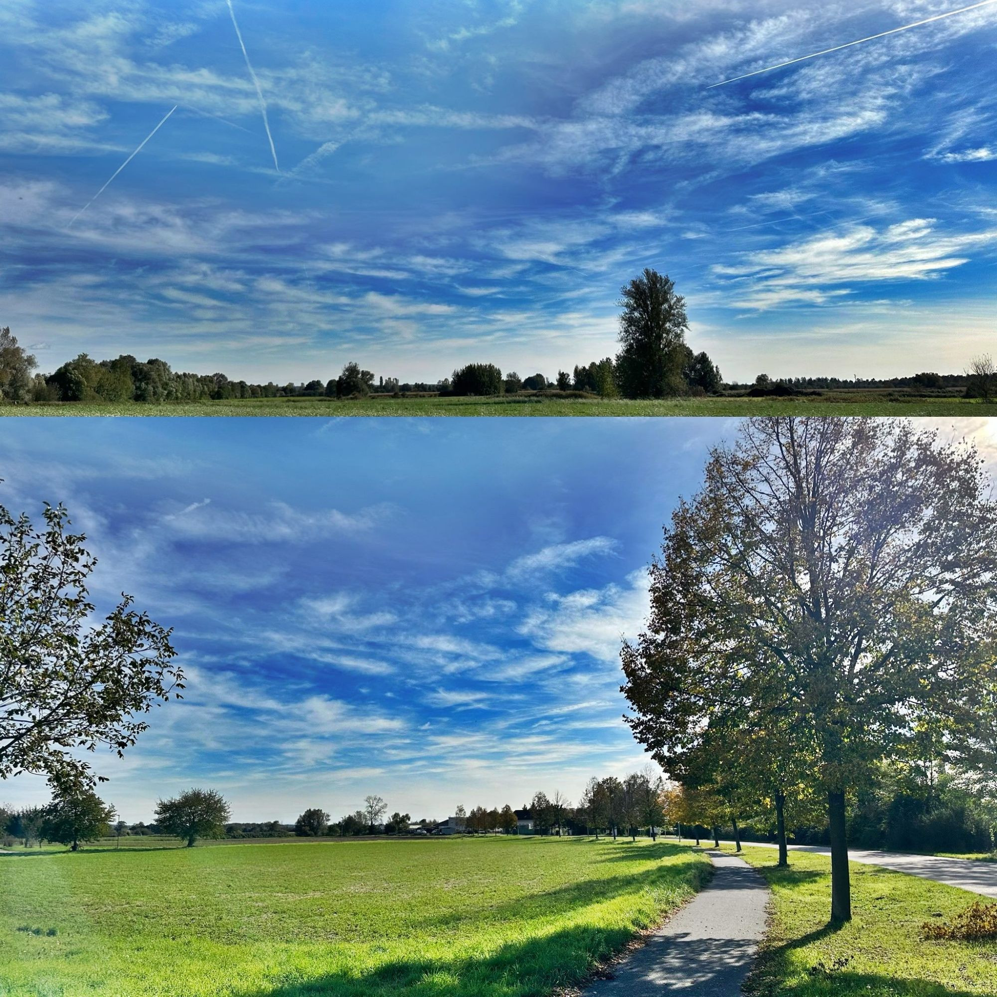 Collage: Blauer Himmel, grüne Wiesen, Sonnenschein, Herbstblätter an den Bäumen und Laufwege 

Dieses Bild ist von mir lizenziert unter Creative Commons BY-NC-SA 4.0