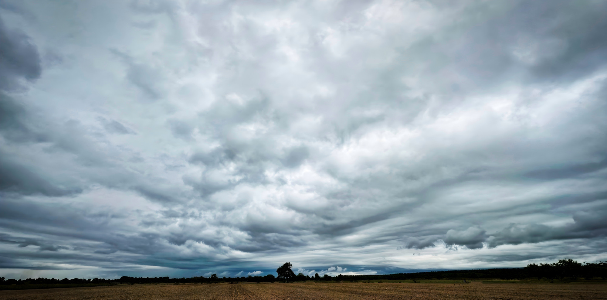 Im Vordergrund ein abgeerntetes Feld, in der Ferne ein Baum, überwältigender Regenwolkenhimmel hell bis dunkelblau.

Dieses Bild ist von mir lizenziert unter Creative Commons BY-NC-SA 4.0