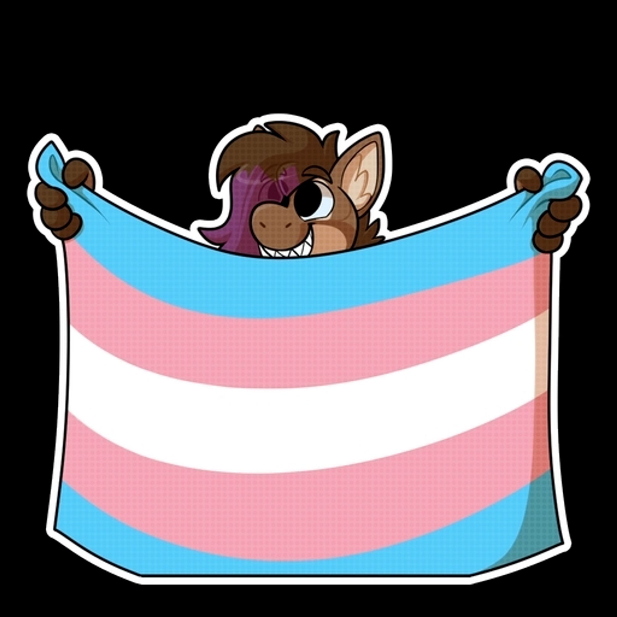 Trans flag