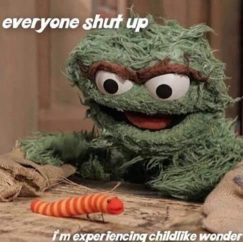 Oscar the grouch looking at a tiny worm, saying "everybody shut up, I'm experiencing childlike wonder"