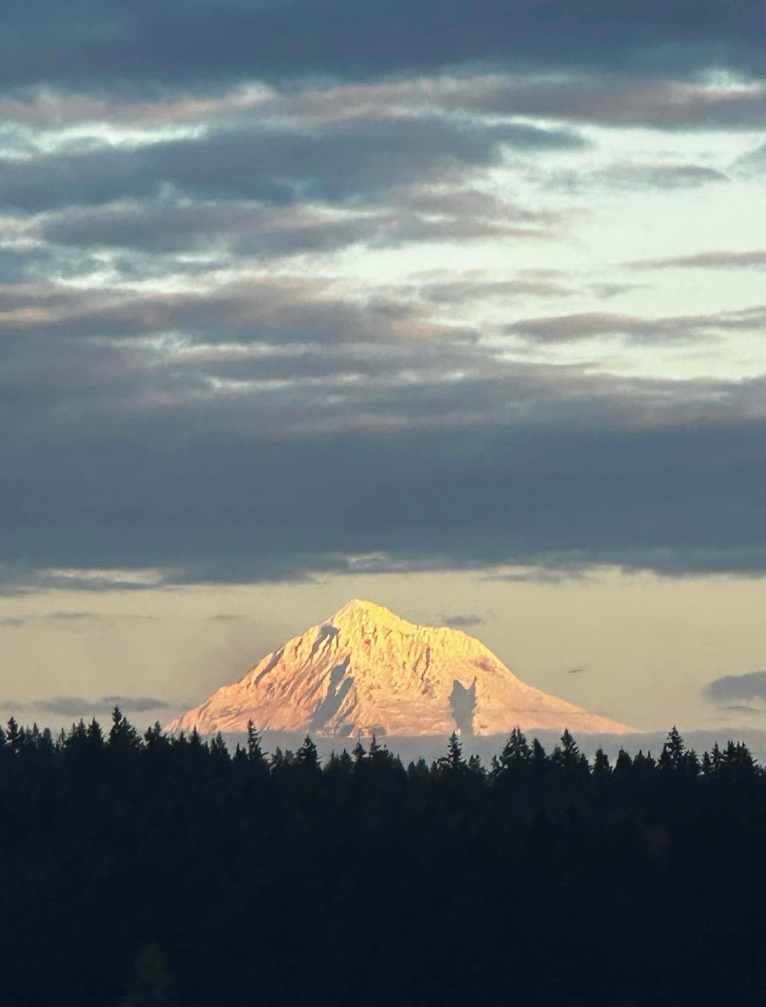 Mt. Hood. Dark conifers with a thin layer of gray clouds above the tree line, snow covered illuminated mountain surrounded by pale blue sky,scattered dark gray clouds above.
