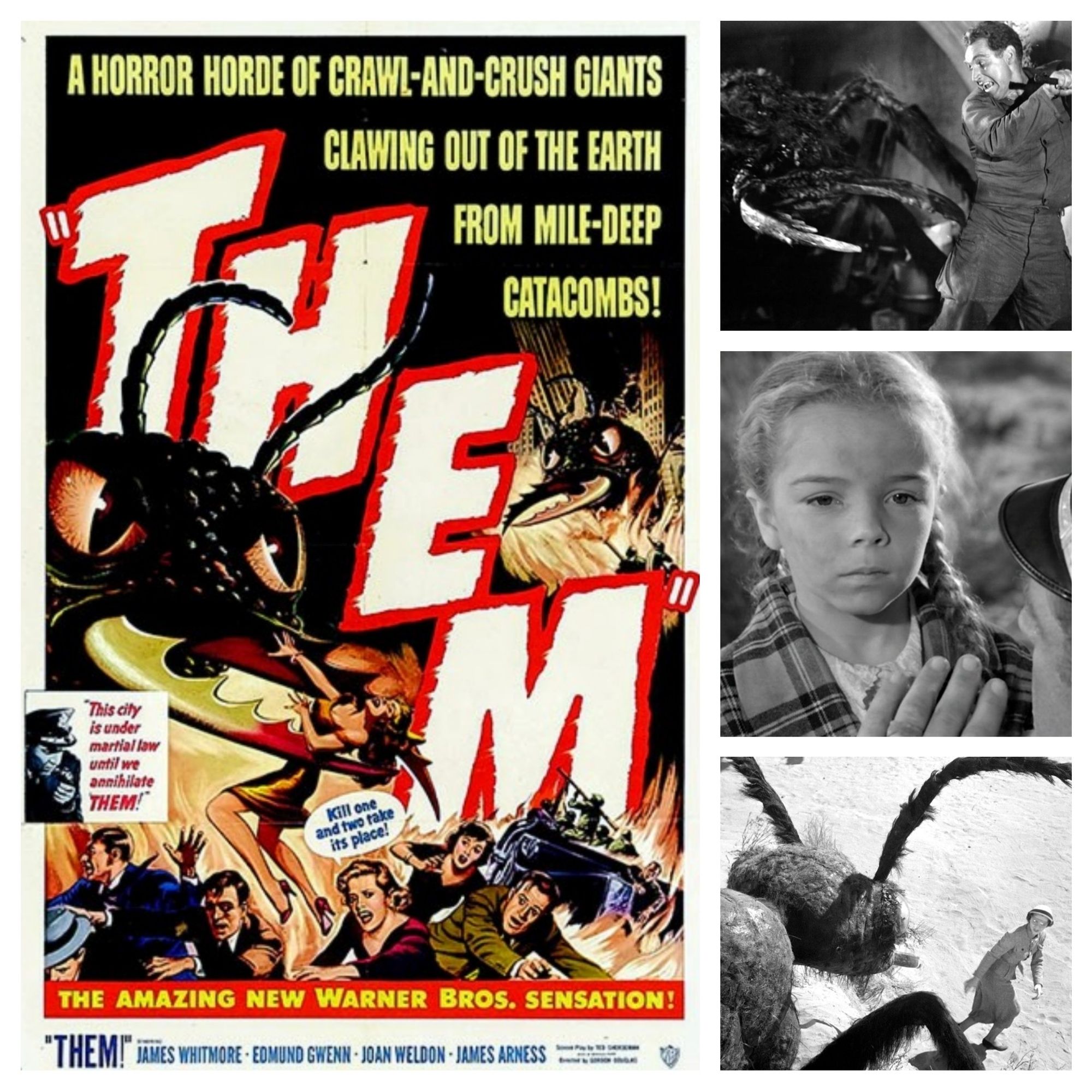 A collage of images and the one sheet poster from the 1954 Warner Bros. sci-fi/horror film "Them!" Directed by Gordon Douglas. Starring James Arness, James Whitmore and Joan Weldon. Available on digital, DVD and Blu-ray. Streaming on Tubi.