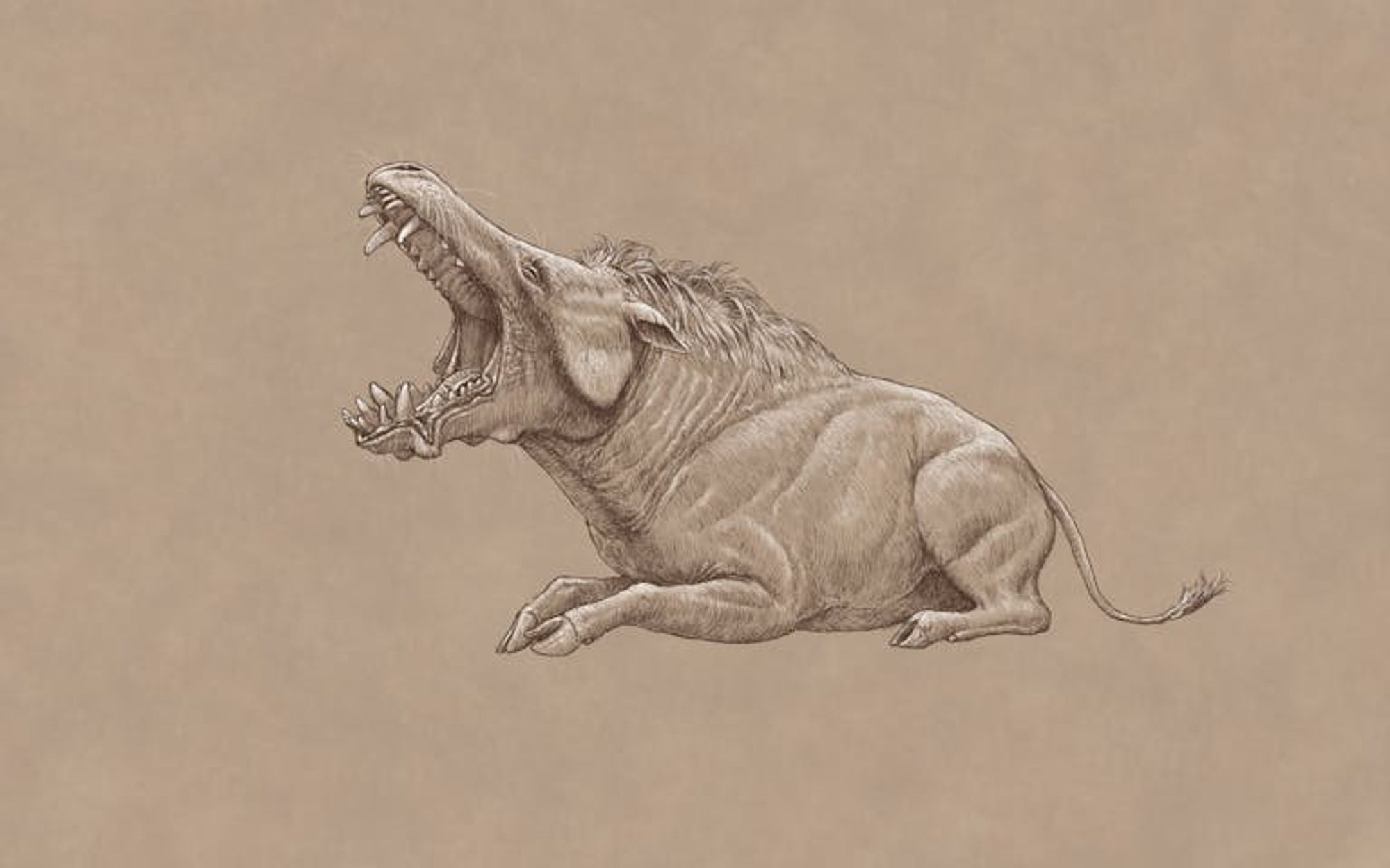 A "hell hippo" done in a sketchbook style of white and black on tan-colored background