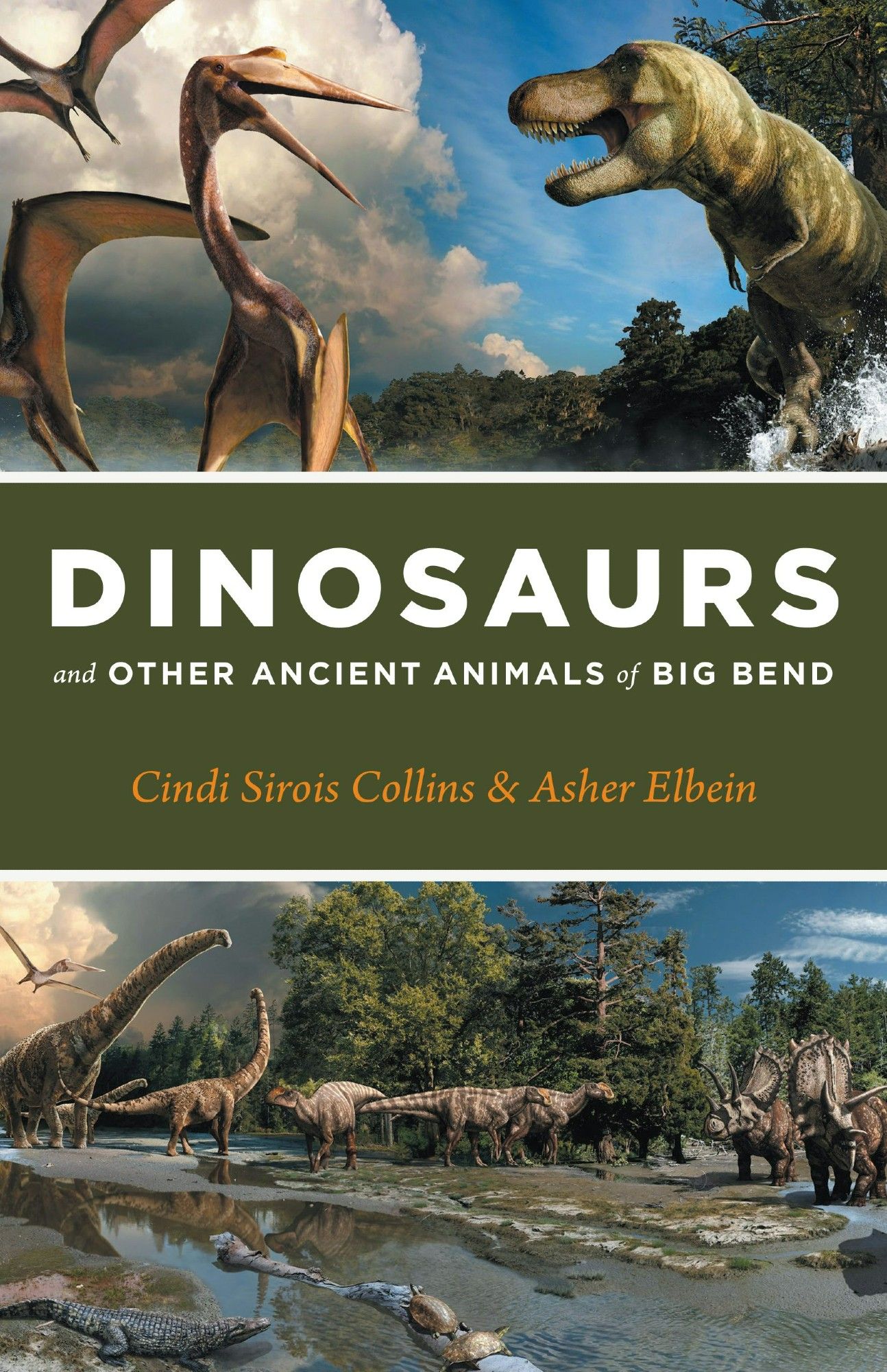 A book cover for DINOSAURS AND OTHER ANCIENT ANIMALS OF THE BIG BEND. The top image shows a Tyrannosaur ambushing a pair of the large pterosaurs Quetzalocoatlus. The bottom image shows a number of cretaceous dinosaurs around a stream, including the sauropod Alamosaurus, Gryposaurs, and Bravoceratops