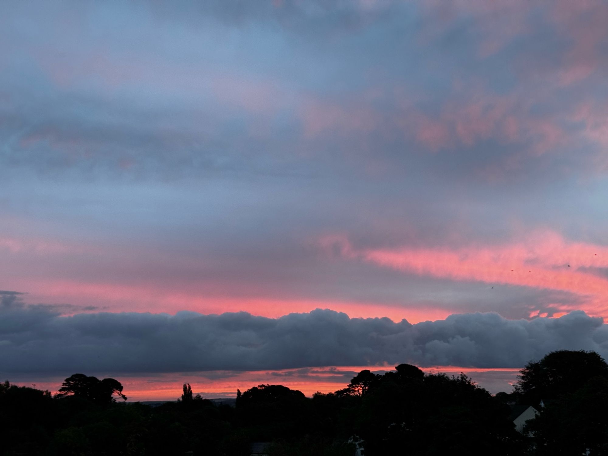 Streaks of pink sky among grey clouds with silhouetted trees in the foreground.