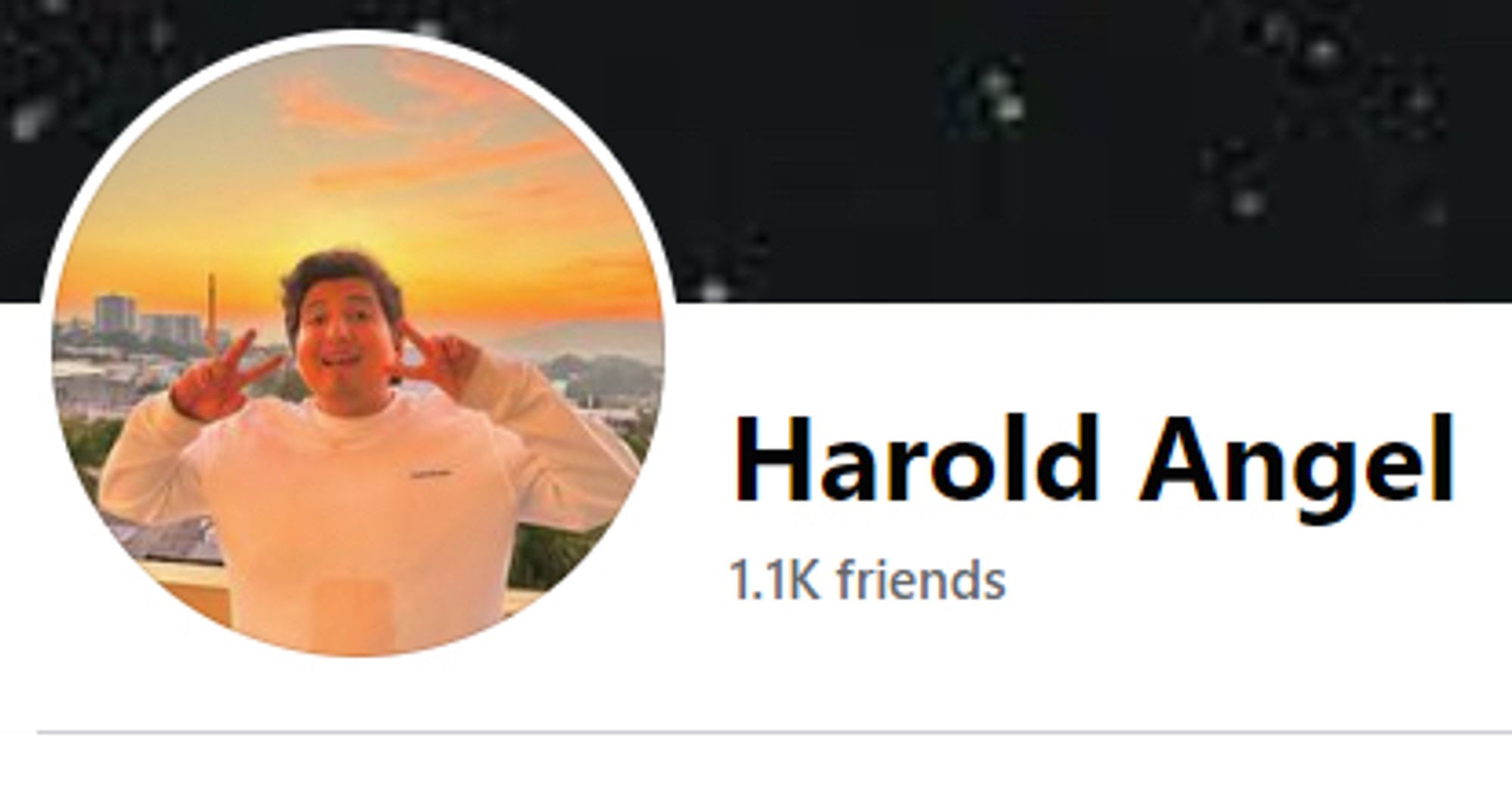 A clipped screenshot of Harold Angel’s Facebook page