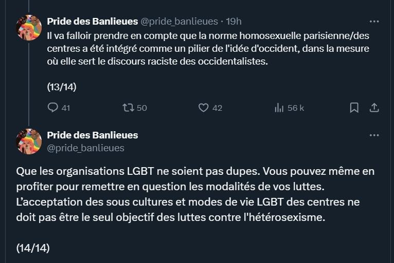 Parties de tweets de #PrideDesBanlieues :

- "Il va falloir prendre en compte que la norme homosexuelle parisienne/des centres a ete intégré comme un pilier de l'idée d'Occident, dans la mesure où elle sert le discours raciste des occidentalistes"

- "Que les organisations LGBT ne soient pas dupes. Vous pouvez même profiter pour remettre en question 'es modalités de vos luttes. L'acceptation des sous cultures et mode de vie LGBT des centres doit pas être le seul objectif des luttes contre l'hétérosexisme"