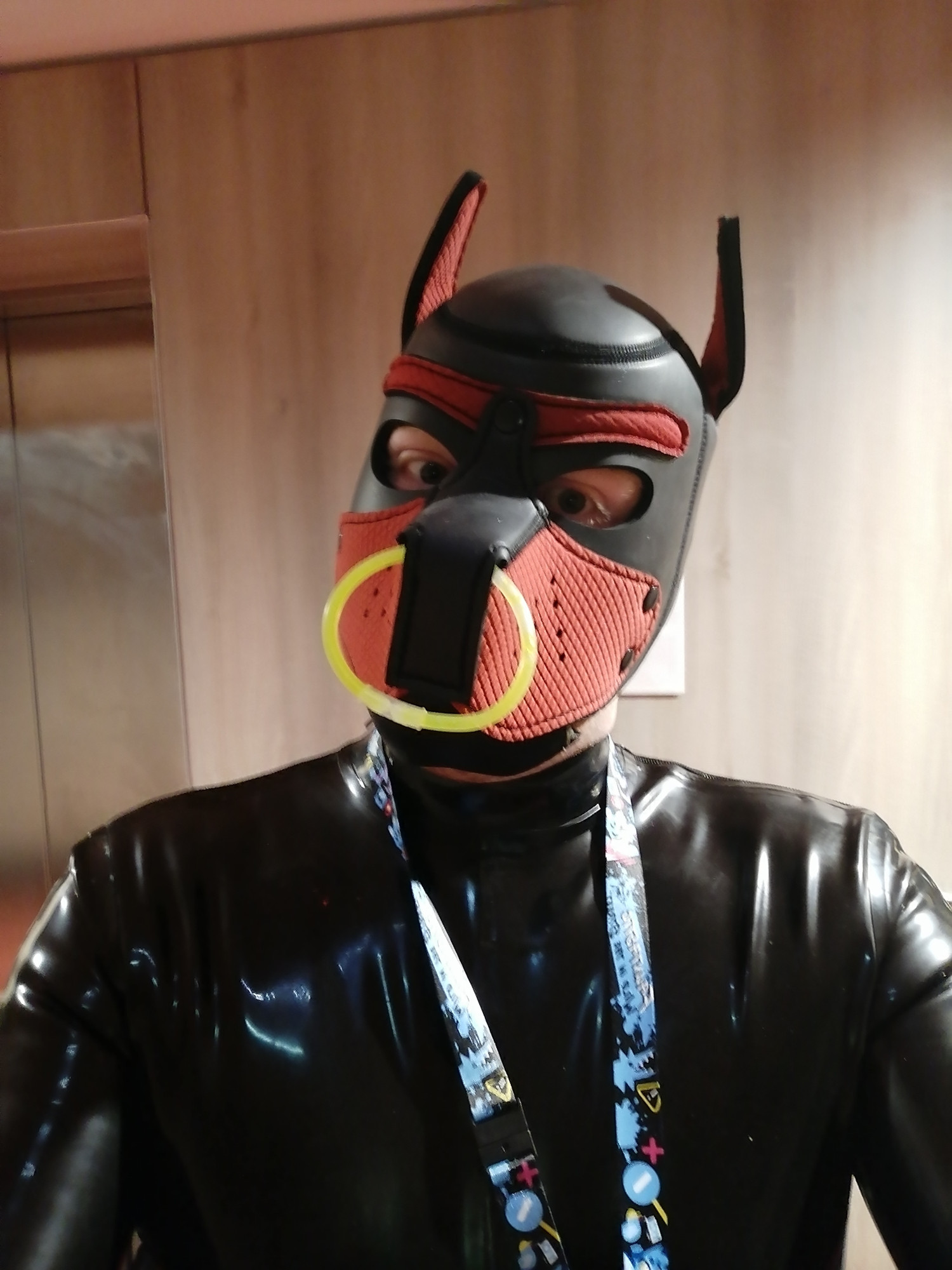 A person in a latex suit with a red puppy mask.