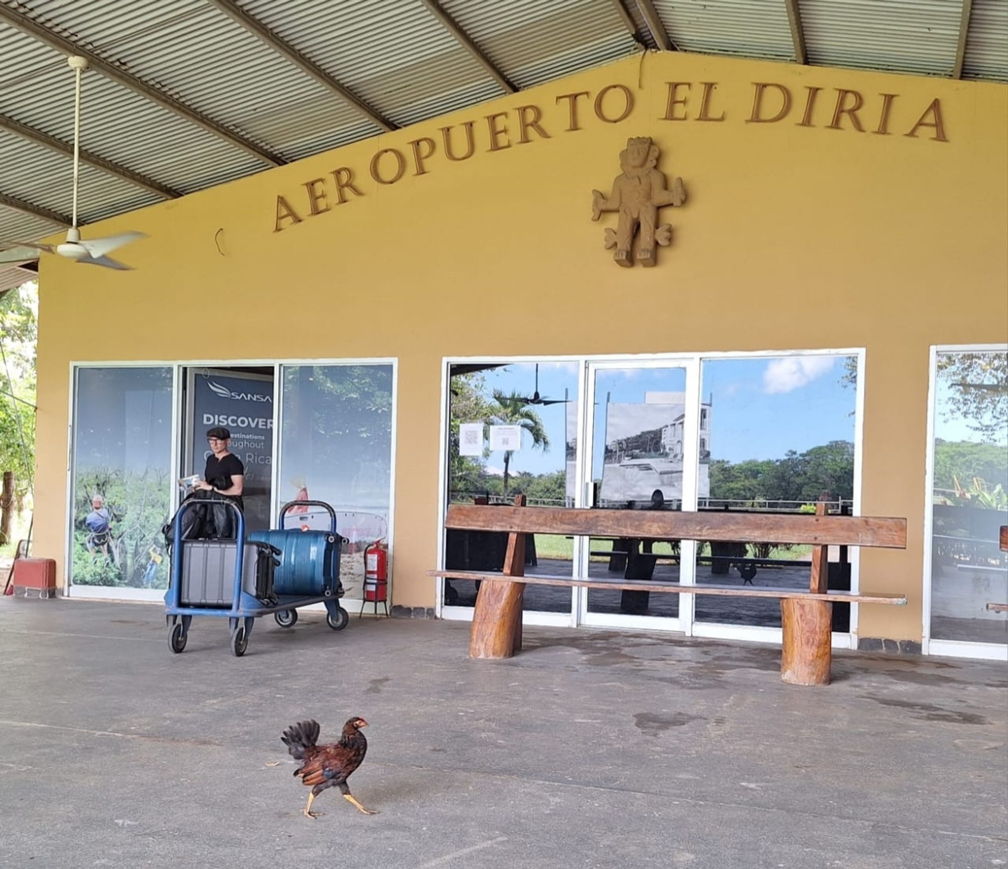 À really small airport outside lobby, a free chicken is walking in the middle.