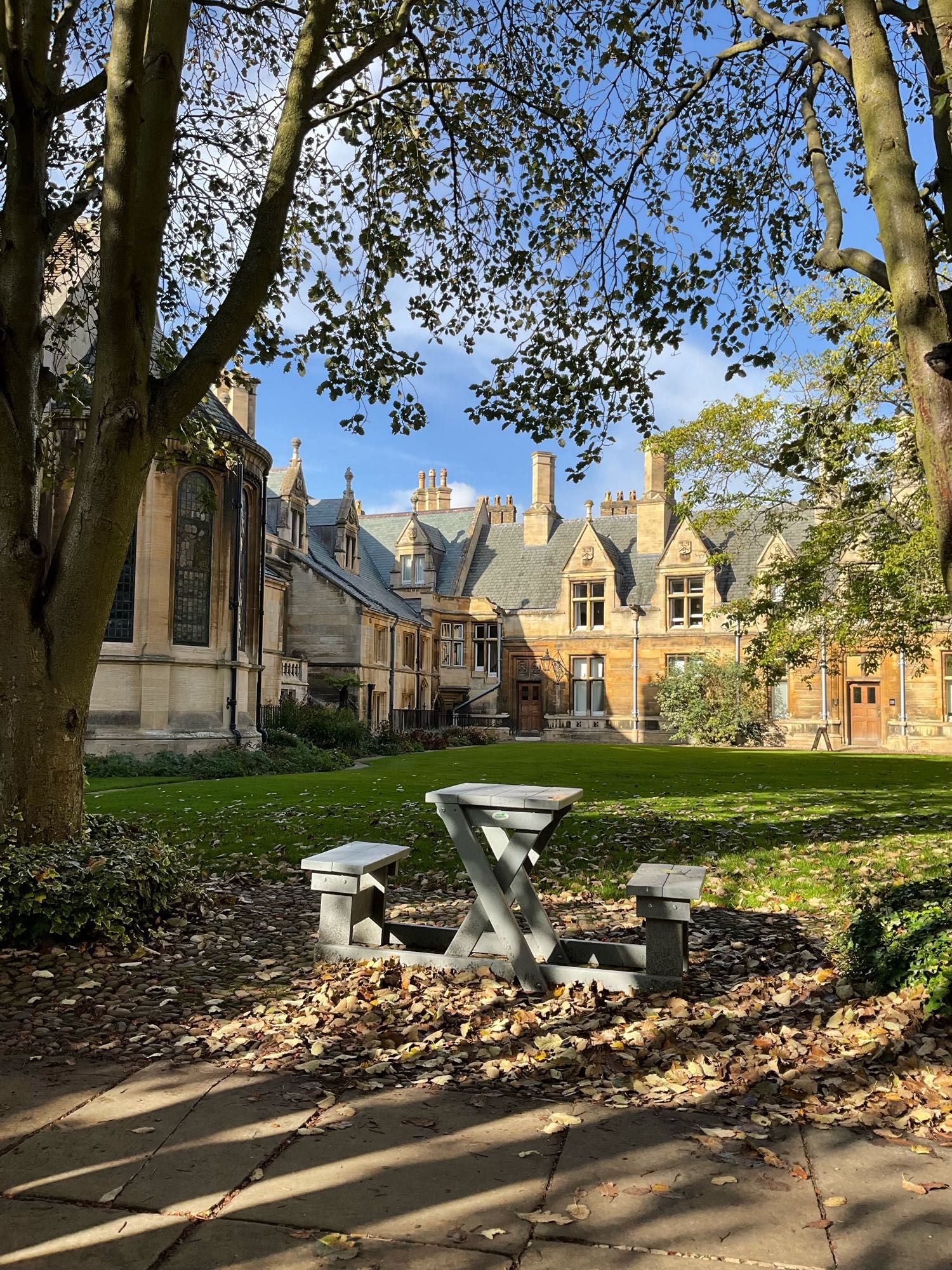 Tree Court at Gonville and Caius college in Cambridge, with slanting shadows and fallen leavea