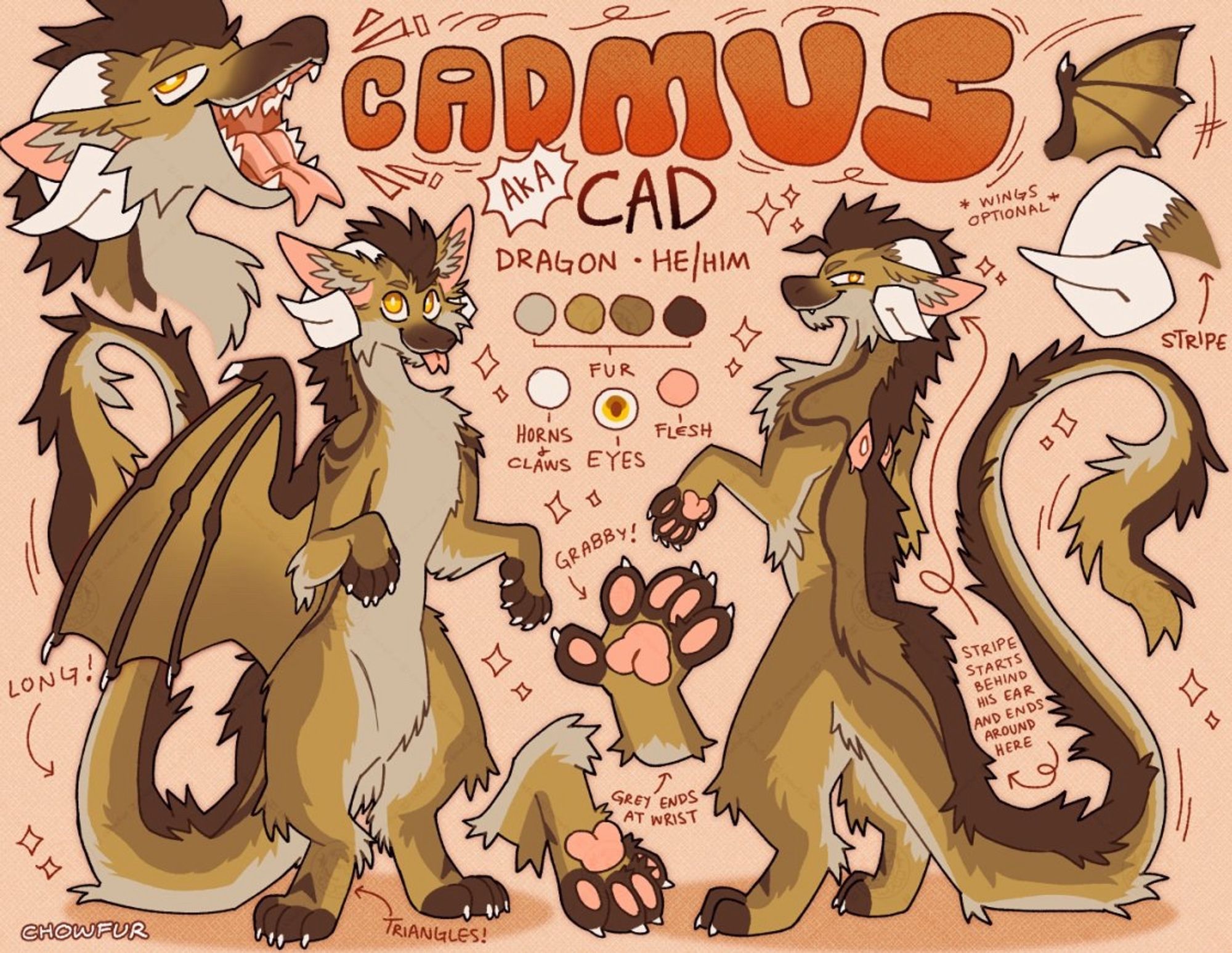 reference sheet of a sandy brown dragon