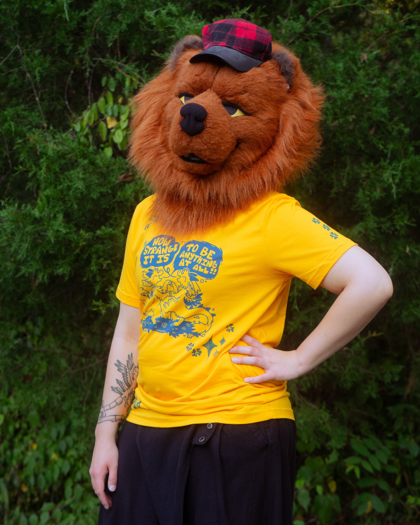 Chowder the chow-chow wearing a yellow shirt with blue print.