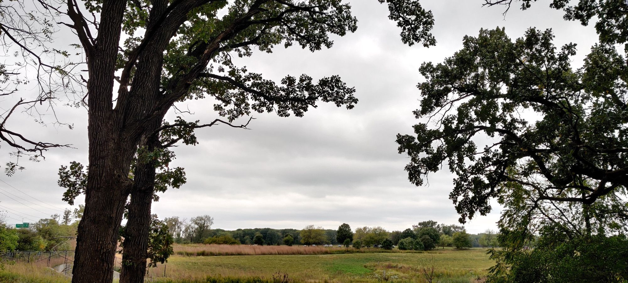 Rolling fields and trees in various autumnal hues of green, yellow, and orange.