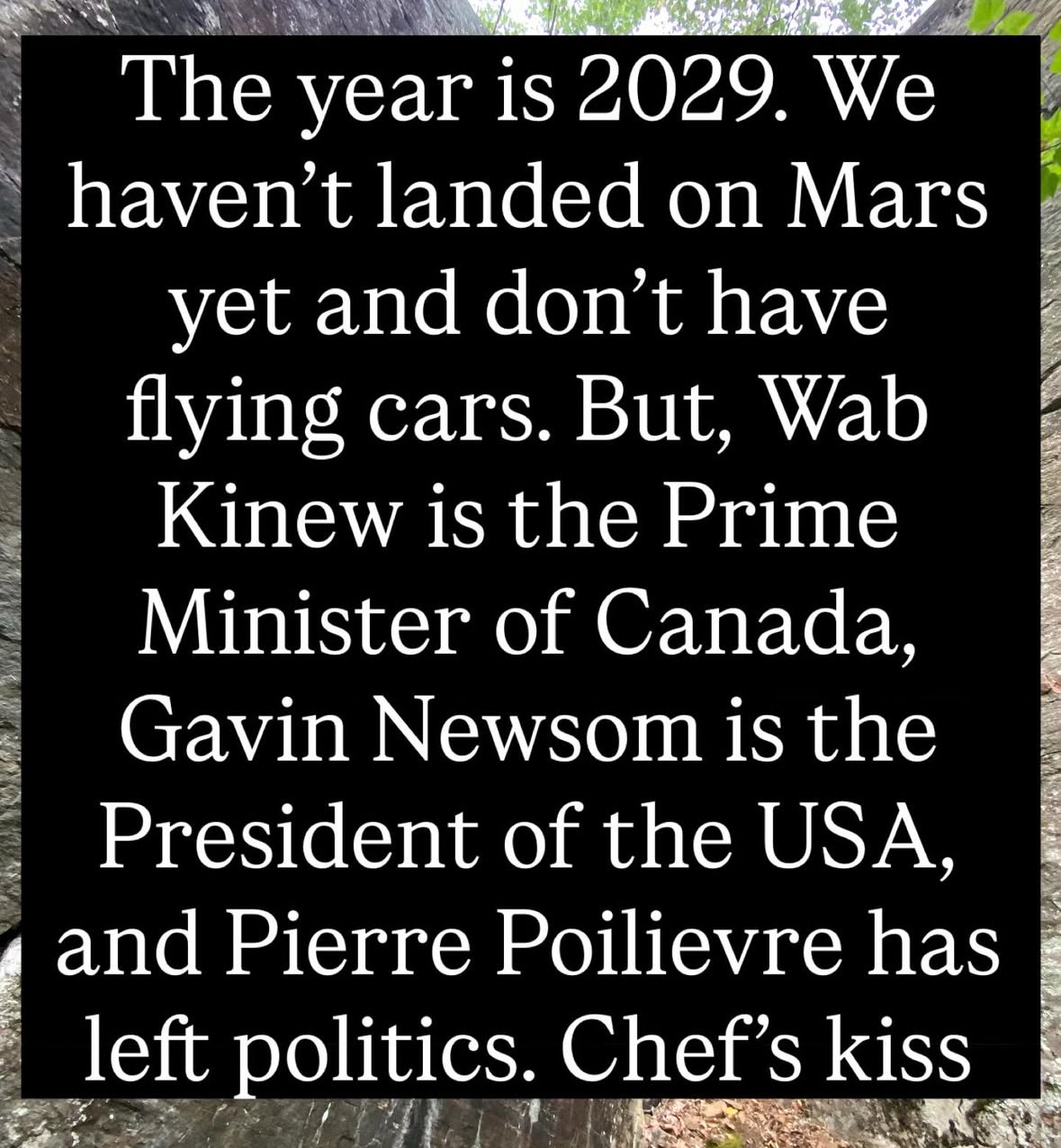 The year is 2029. We haven't landed on Mars yet and don't have flying cars. But, Wab Kinew is the Prime Minister of Canada, Gavin Newsom is the President of the USA, and Pierre Poilievre has left politics. Chef's kiss