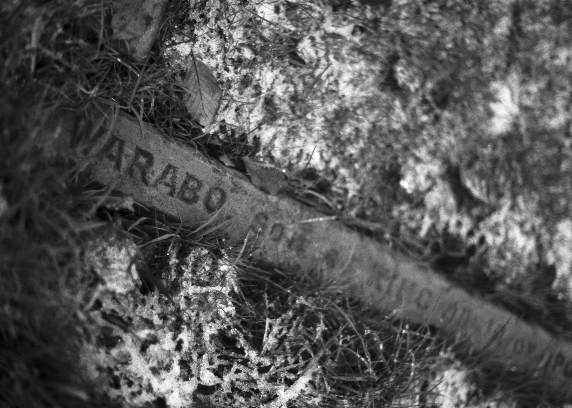 A close-up monochrome photograph of a grave marking. The inscription reads "Warabo, son of King Jaja of Opobo". The surrounding grass is frosty. The image is partially distorted by a shallow depth of field and strong barrel distortion.