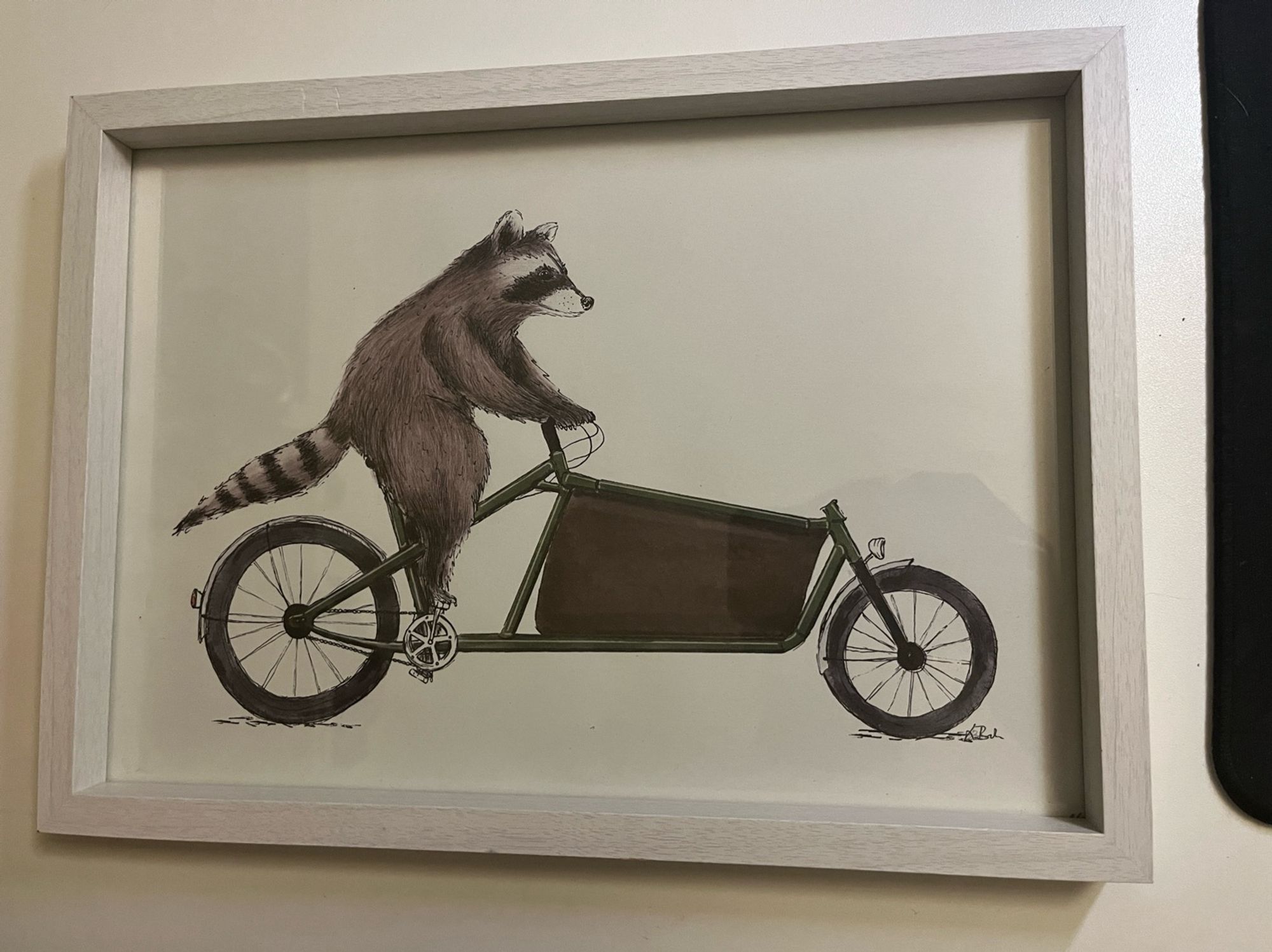 Waschbär auf Lastenrad