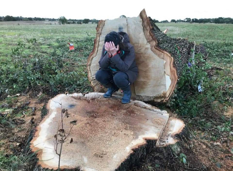 Kerry O’Grady sits crying with her head in her hands on the stump of a 300 year old oak tree felled for the HS2 rail project, now cancelled by Rishi Sunak.