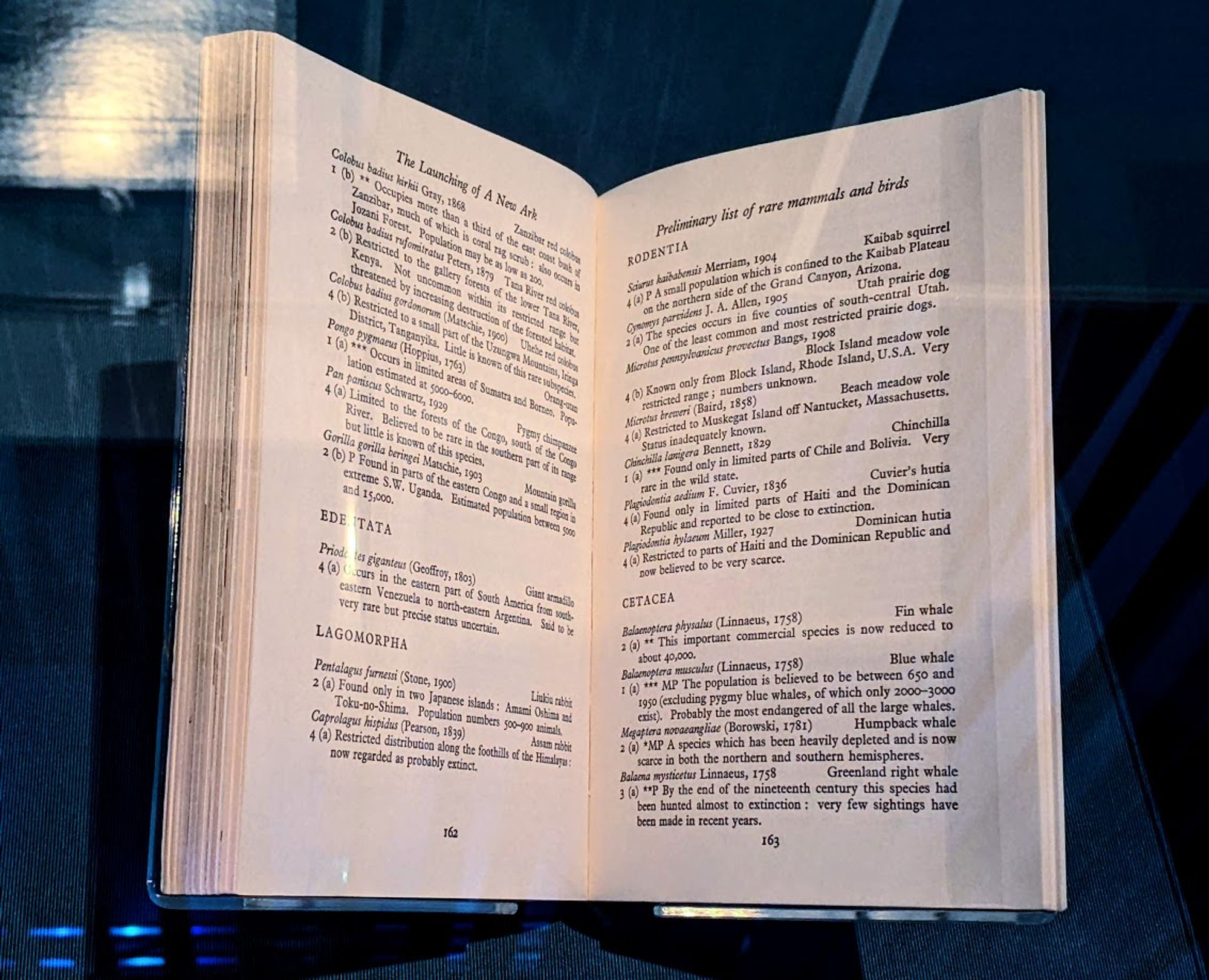 The first ever IUCN red list book, open on a page showing the status of the blue whale in 1964: the population is believed to be between 650 and 1950. Probably the most endangered of all the large whales.