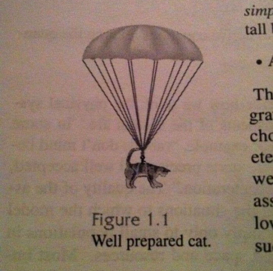 Illustration in a book of a cat with a parachute
Figure 1. 1. Titled "Well prepared cat"