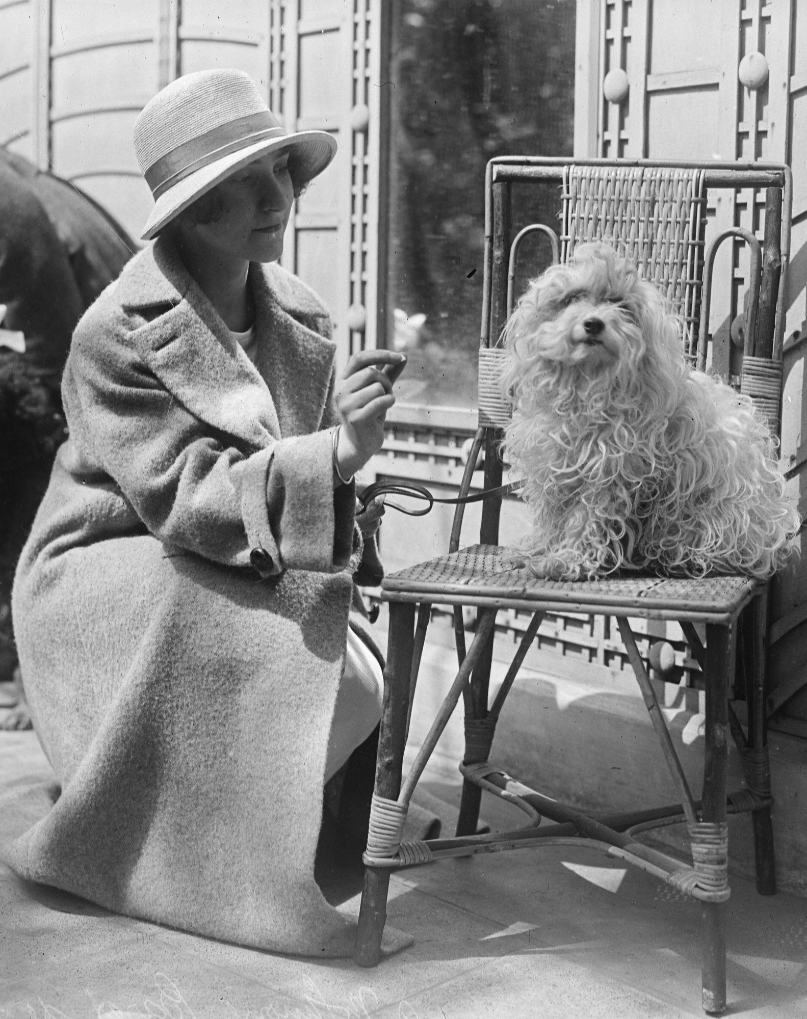 Old black and white photograph from the 1920s in which a cute floofy dog is sitting on a chair and a woman in a coat and hat is trying to feed it something